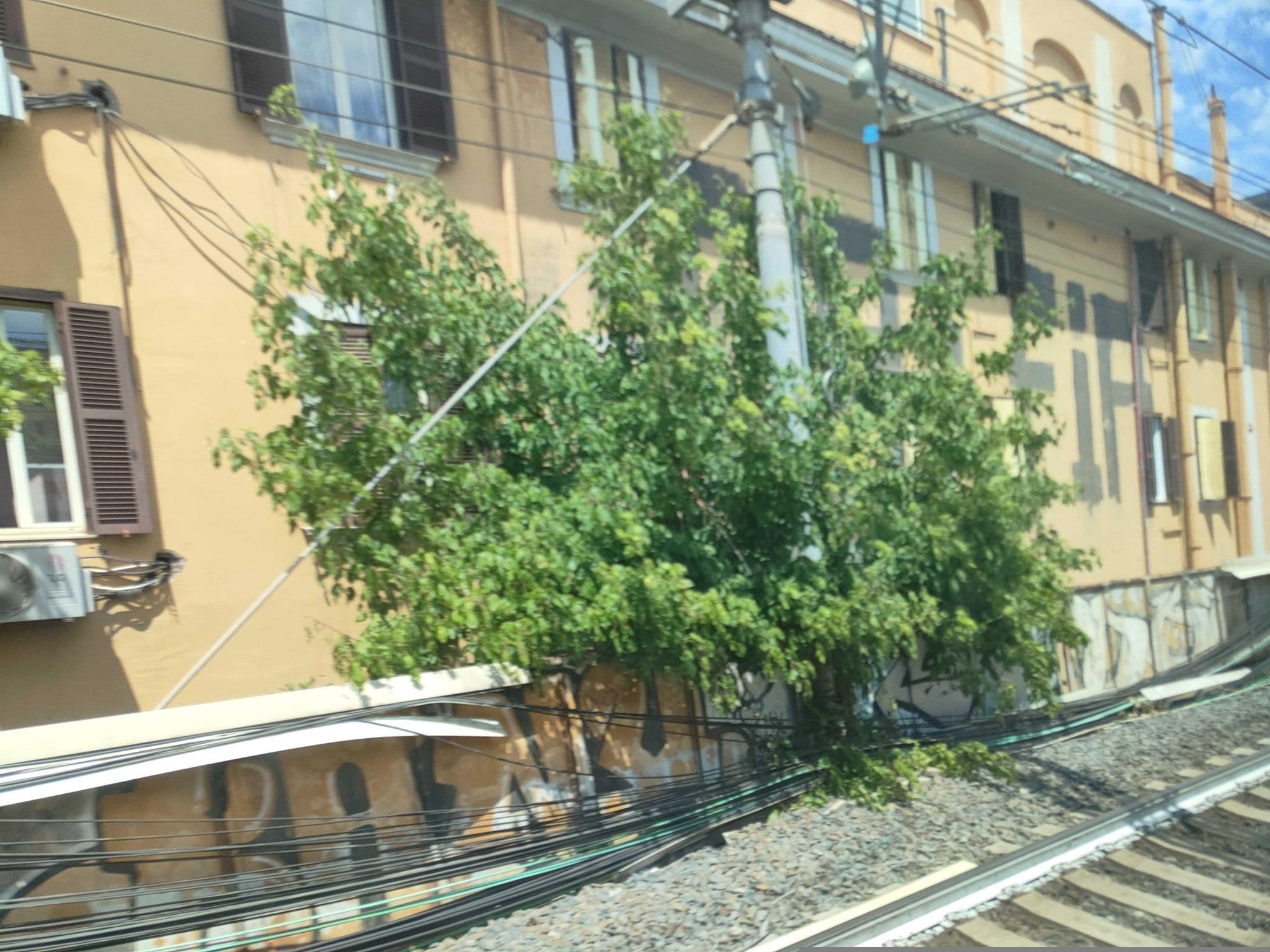 Street view near Hotel Primus Roma, Testaccio — © omfg_notpr (CC BY-SA · Mapillary)