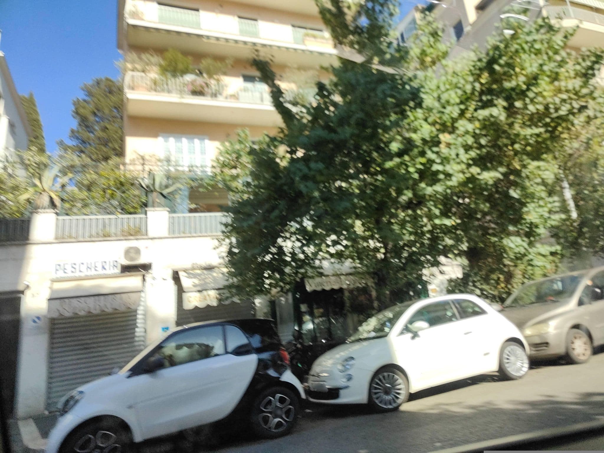 Street view near B&B Il Vascello, Trastevere — © omfg_notpr (CC BY-SA · Mapillary)