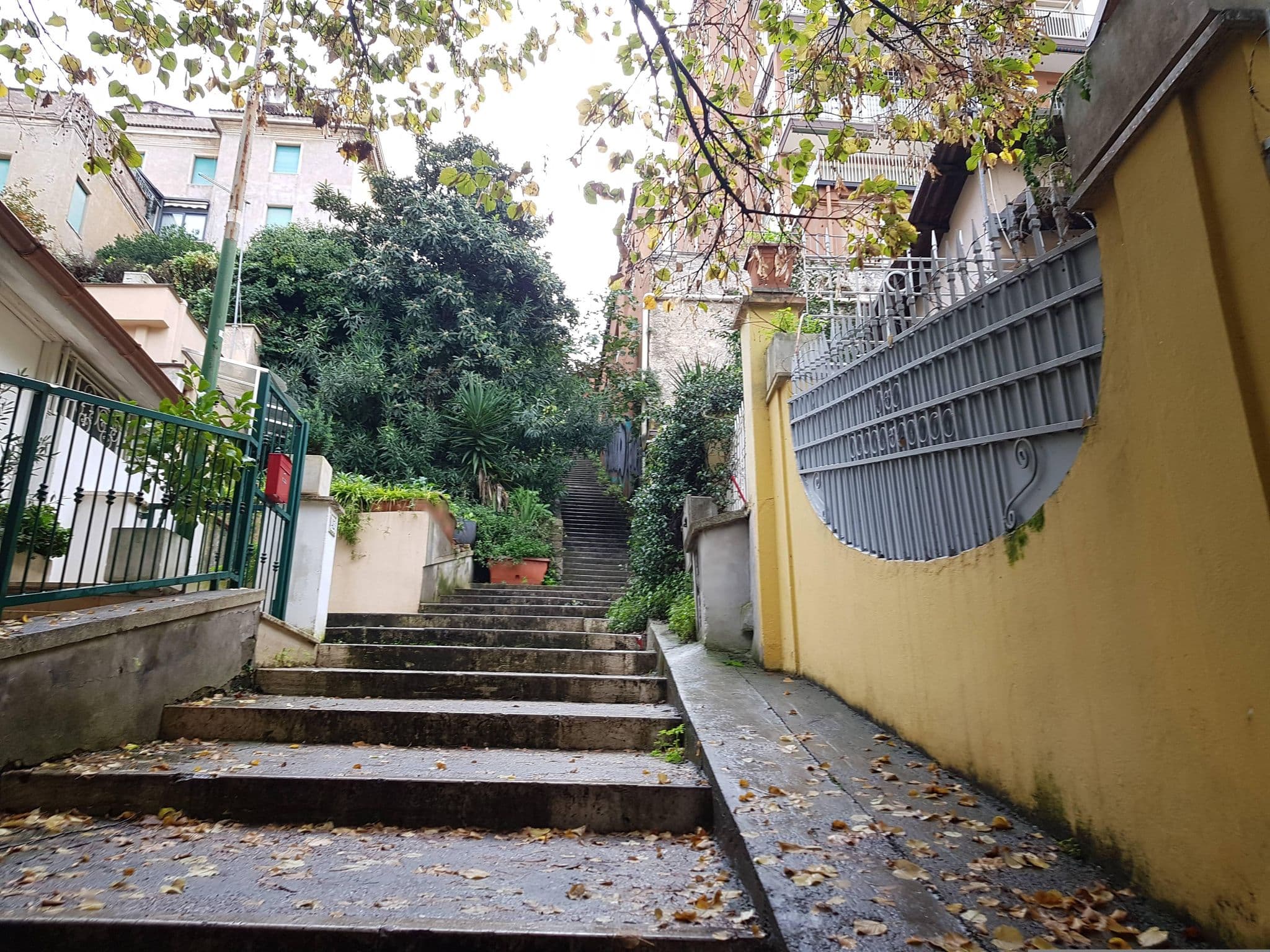 Street view near Relais Clivo Vaticano, Borgo — © masterofnoroad (CC BY-SA · Mapillary)