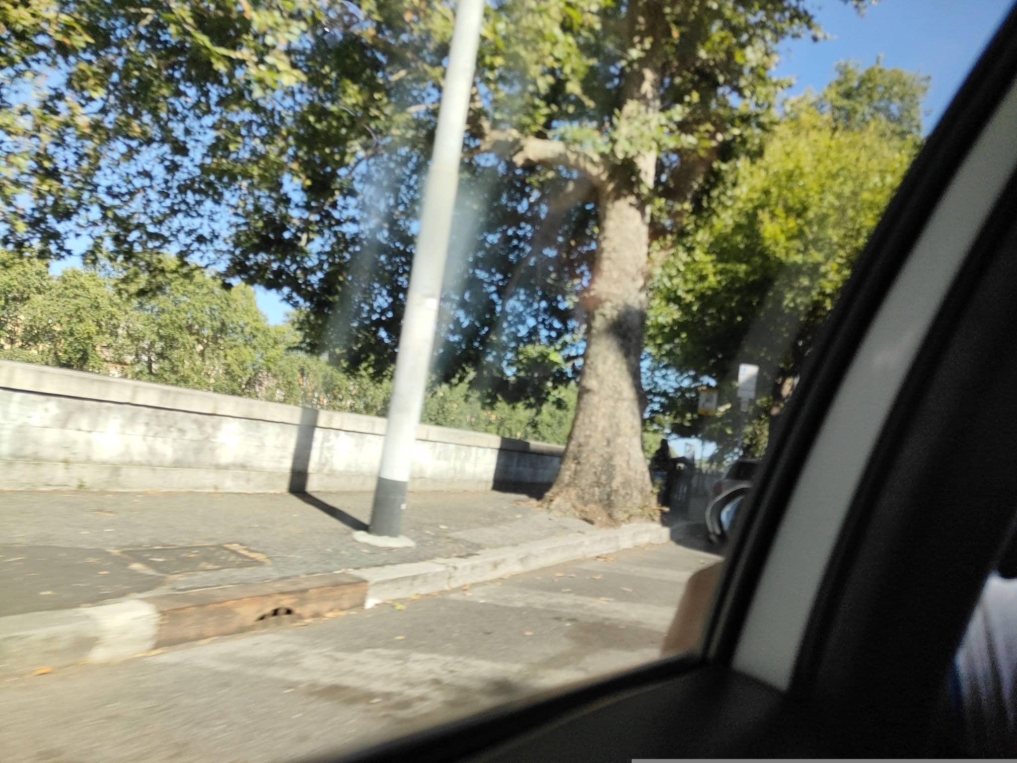 Street view near River 88, Ponte — © omfg_notpr (CC BY-SA · Mapillary)