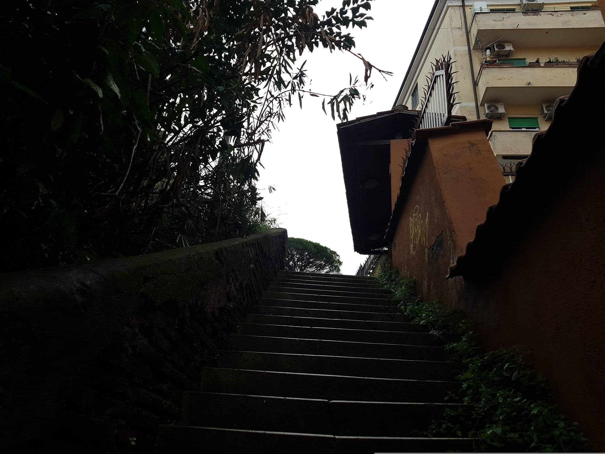 Street view near Viale Vaticano 44, Borgo — © masterofnoroad (CC BY-SA · Mapillary)