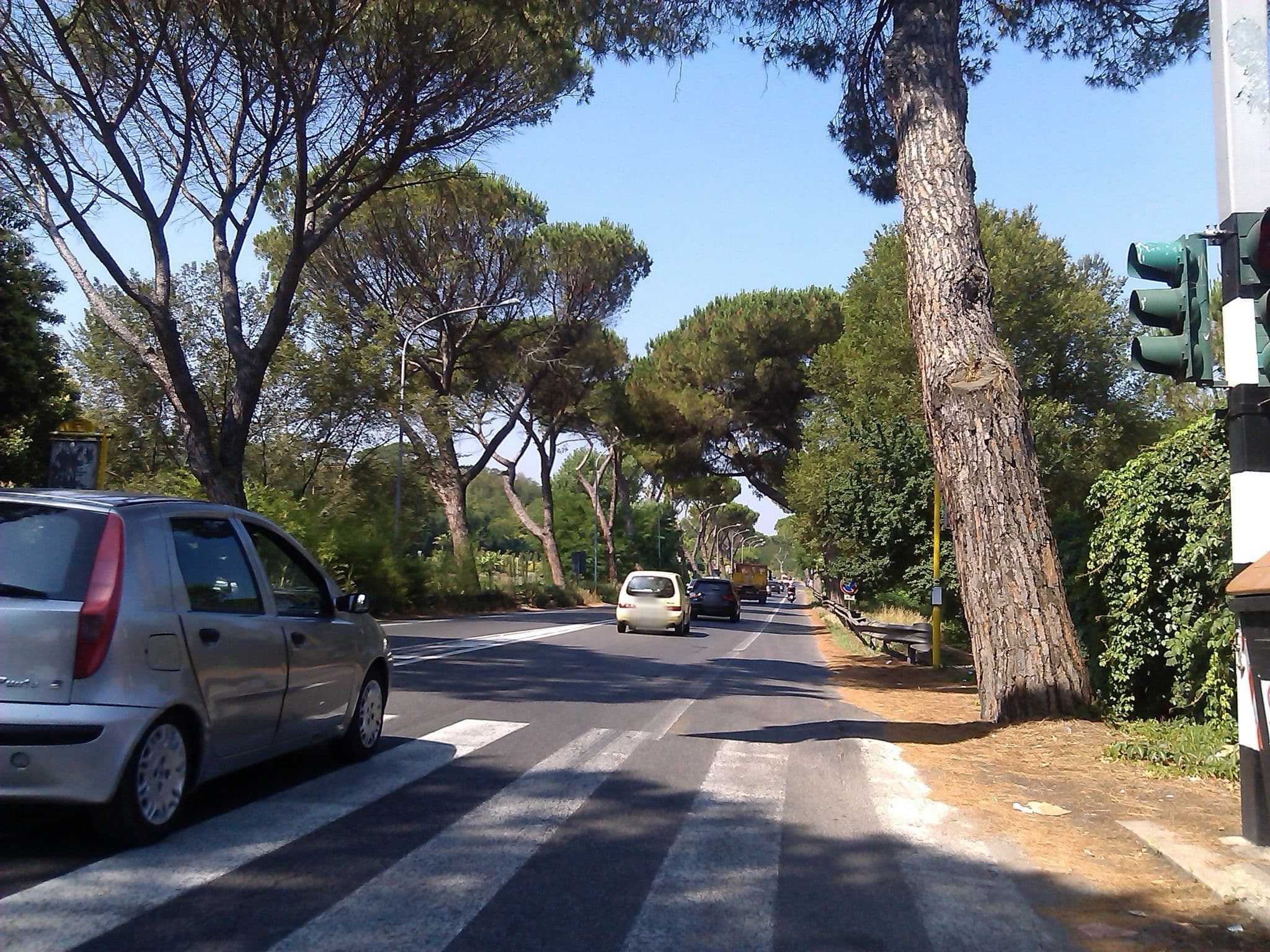 Street view near b&b antico platano, Campo Marzio — © changchun1 (CC BY-SA · Mapillary)
