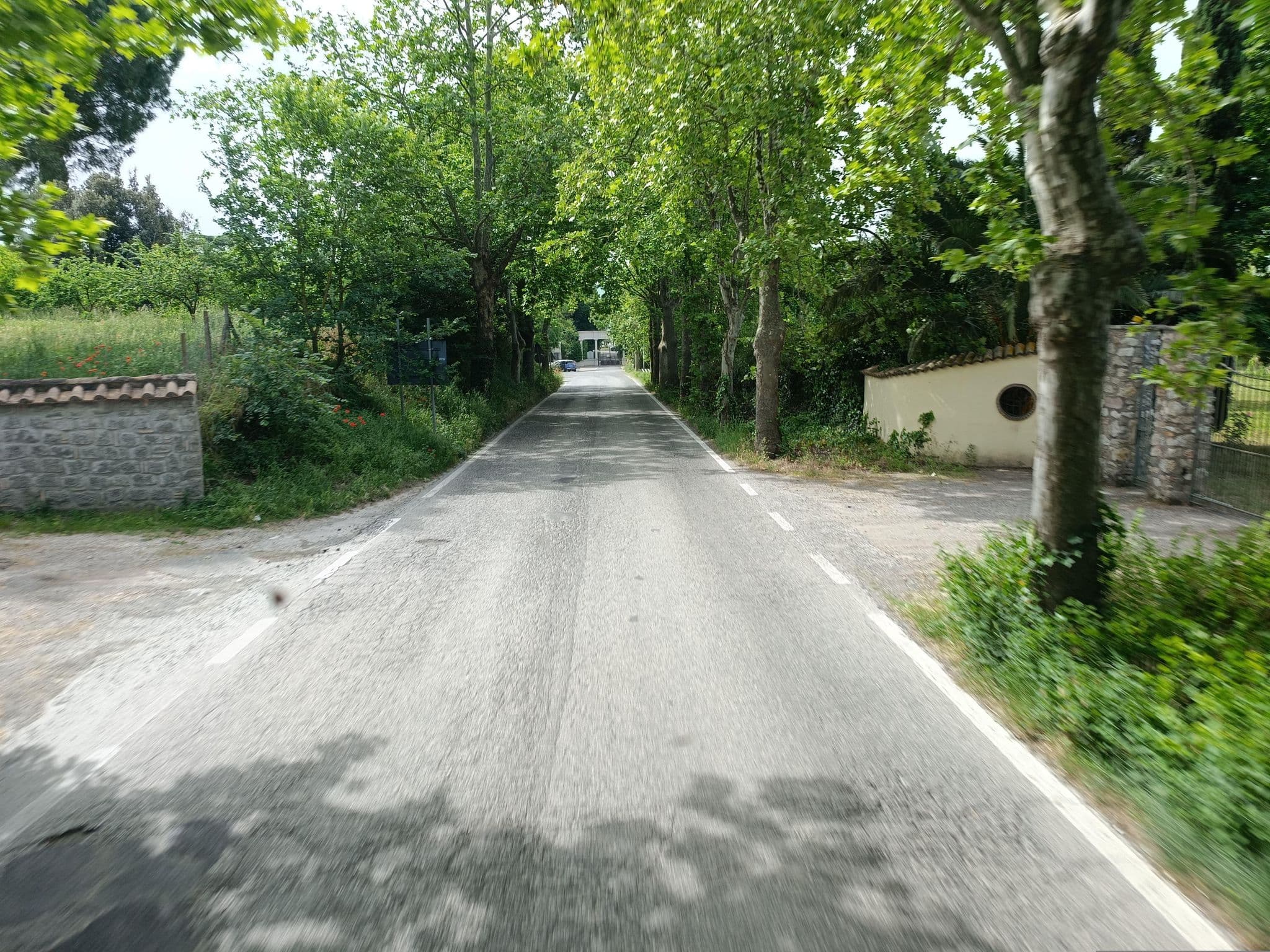 Street view near B&B Alle Terme, Viterbo — © klimakas (CC BY-SA · Mapillary)
