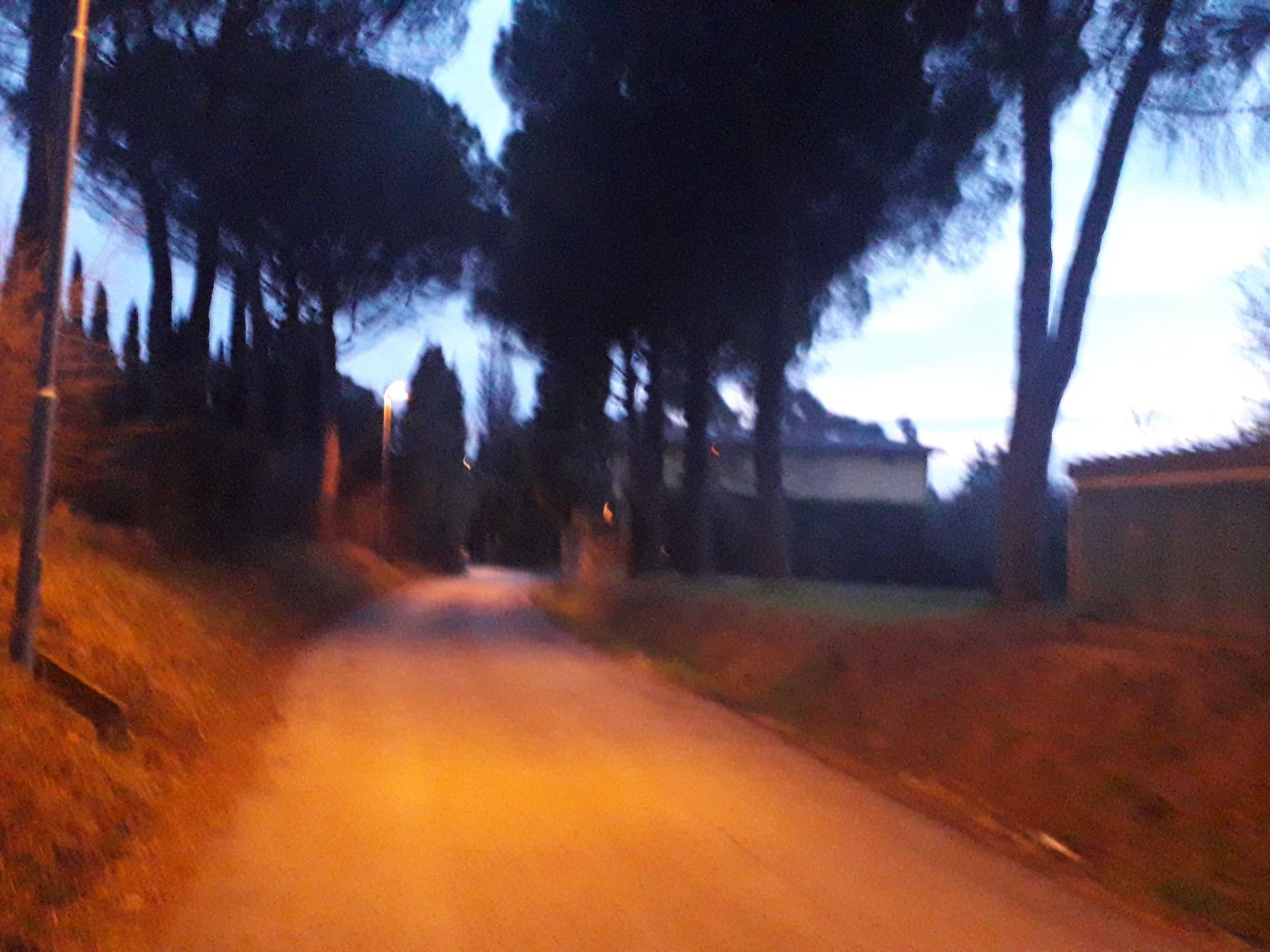 Street view near I Loggi SRL, Perugia — © ajuaba (CC BY-SA · Mapillary)