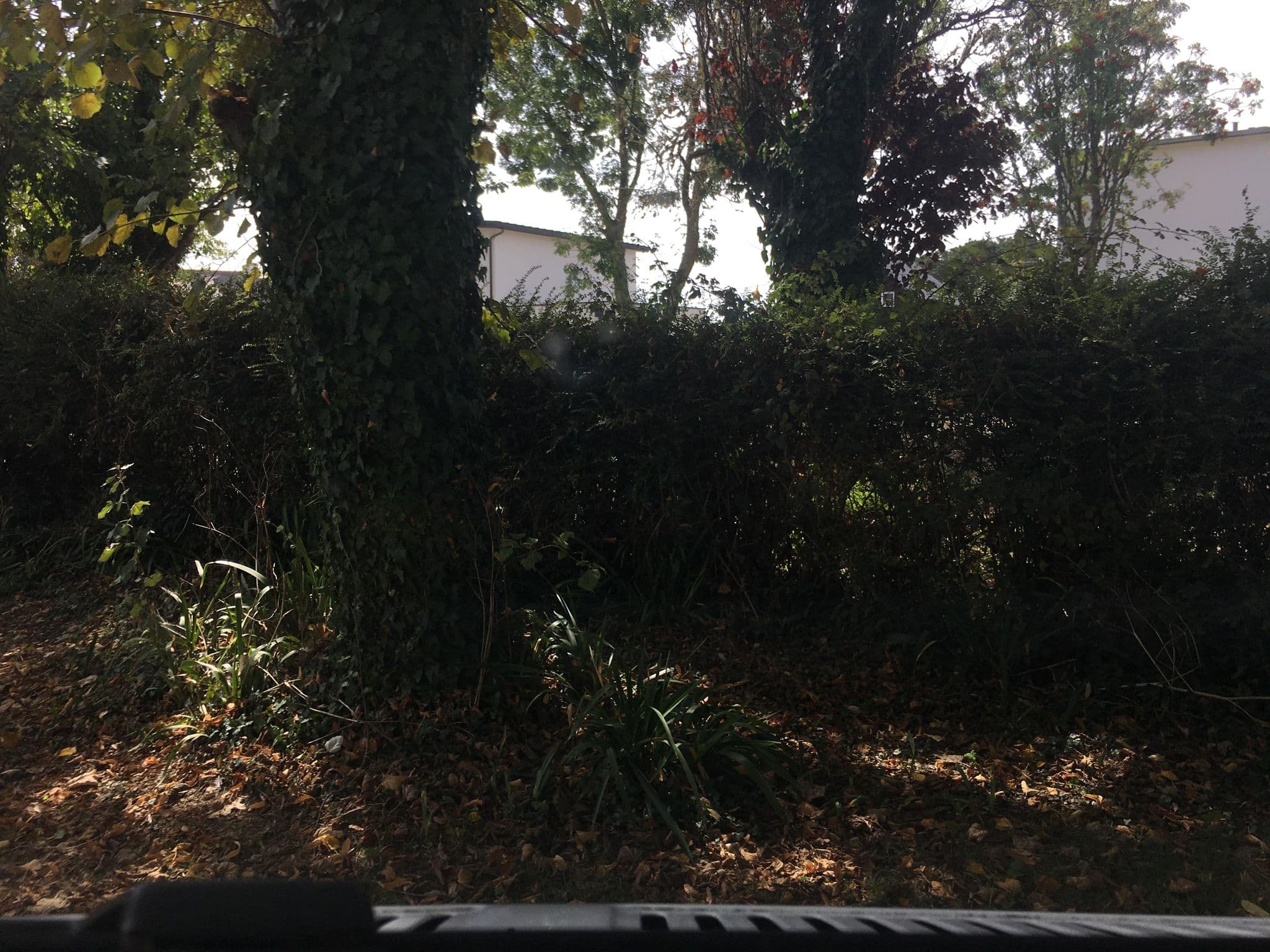 Street view near Camping des Mouettes, Loctudy — © raymond (CC BY-SA · Mapillary)