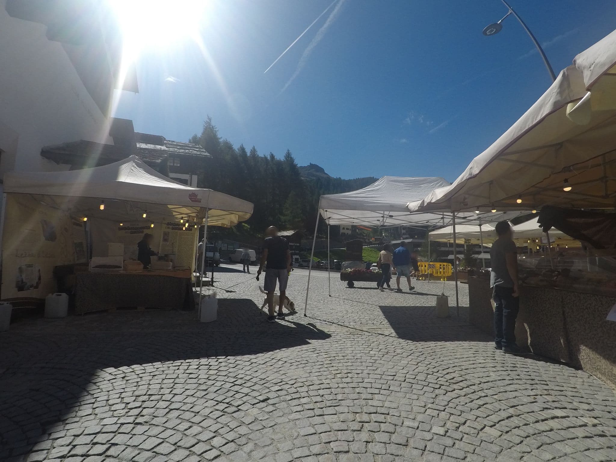 Street view near Albergo Breuil Hotel, Valtournenche — © bcostacurta (CC BY-SA · Mapillary)
