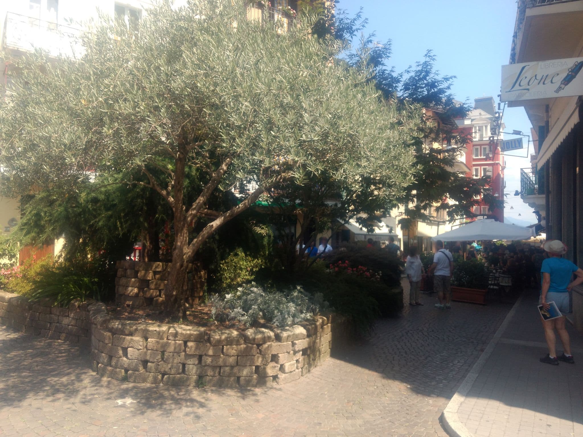 Street view near Affittacamere Caffè Nazionale, Stresa — © mapeadora (CC BY-SA · Mapillary)