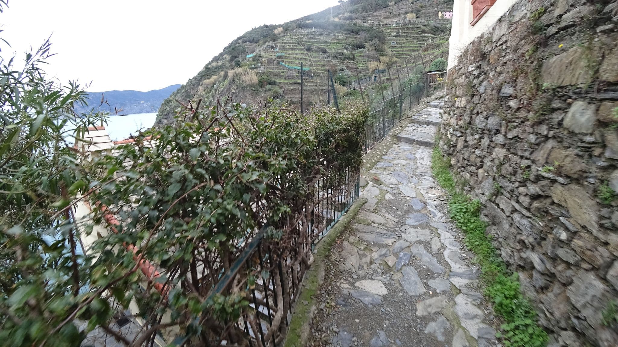 Street view near Vernazza Rentals, Monterosso al Mare — © danbjoseph (CC BY-SA · Mapillary)