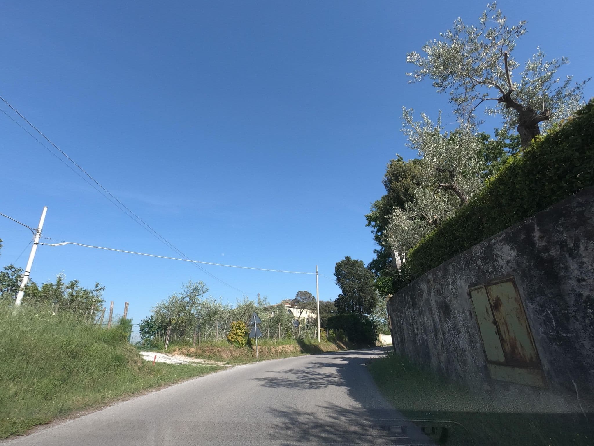 Street view near Fattoria Laviosa, Fauglia — © momix (CC BY-SA · Mapillary)