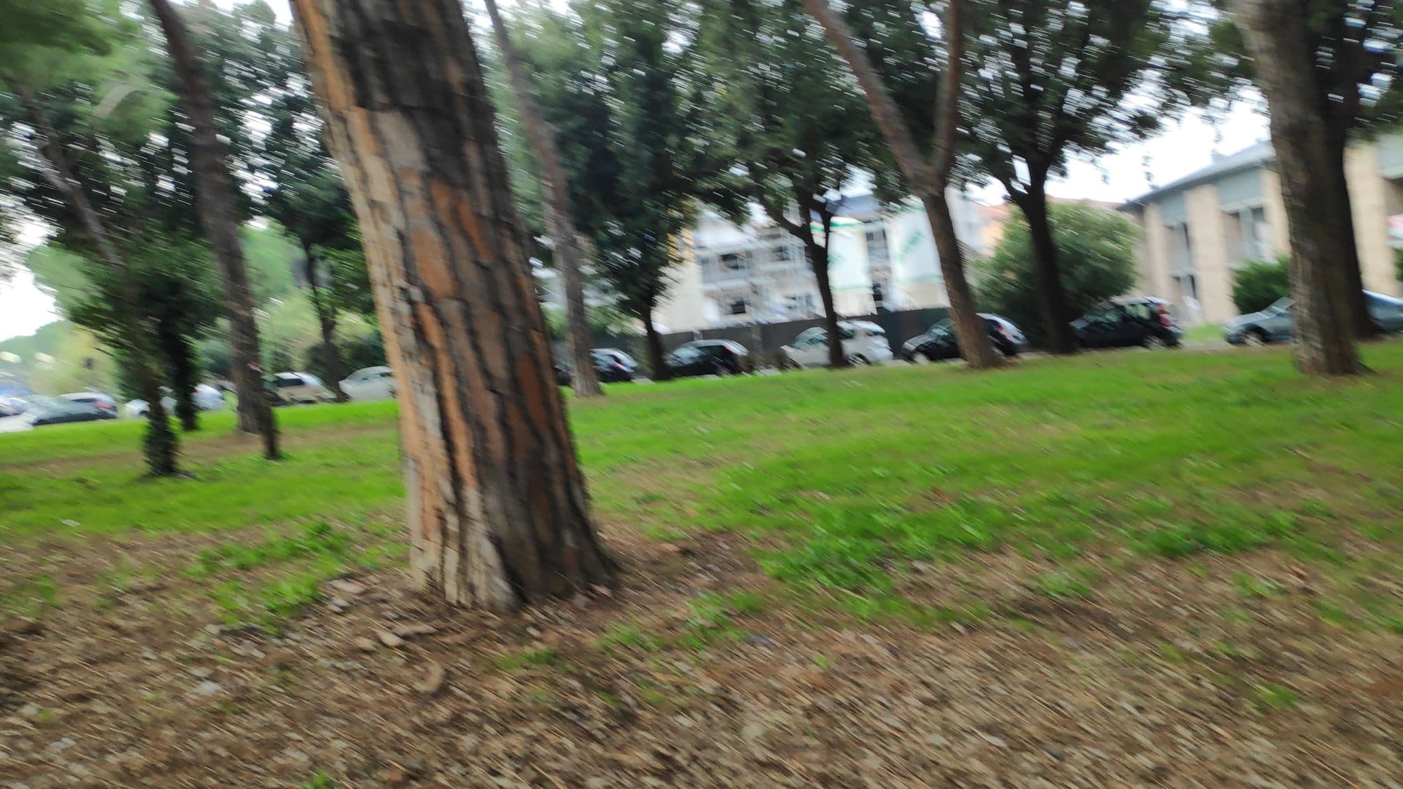 Street view near B&B Butterfly Inn, Pisa — © dkocich (CC BY-SA · Mapillary)