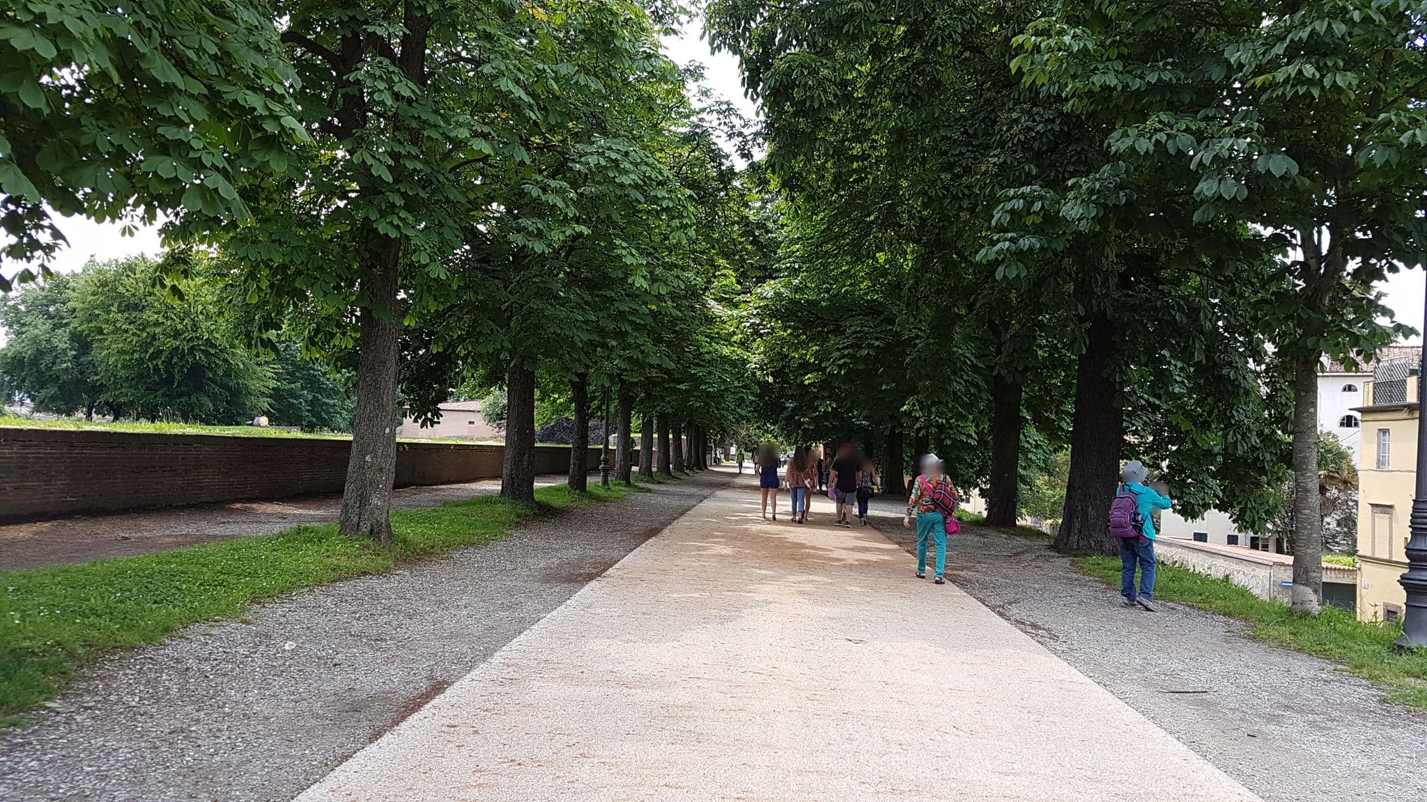 Street view near La TERRAZZA fra le TORRI, Lucca — © jopparn (CC BY-SA · Mapillary)