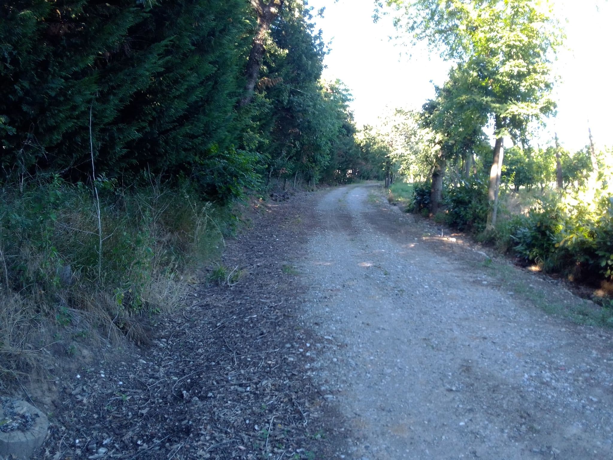 Street view near Case Olive, Borgonovo Valtidone — © montepiana (CC BY-SA · Mapillary)