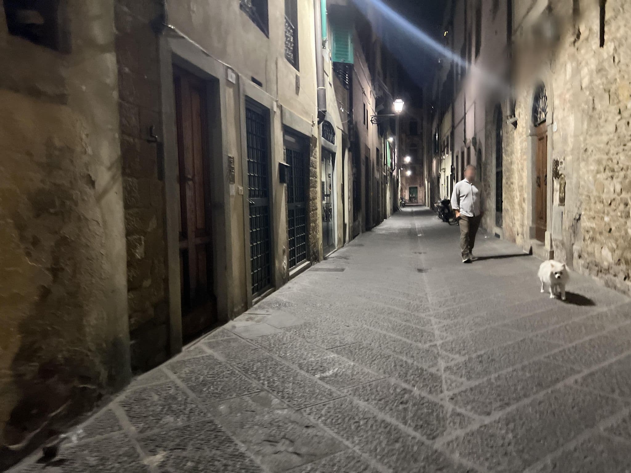Street view near Velvet Loft - Santo Spirito Apartment, Florence — © shogohirasawa (CC BY-SA · Mapillary)