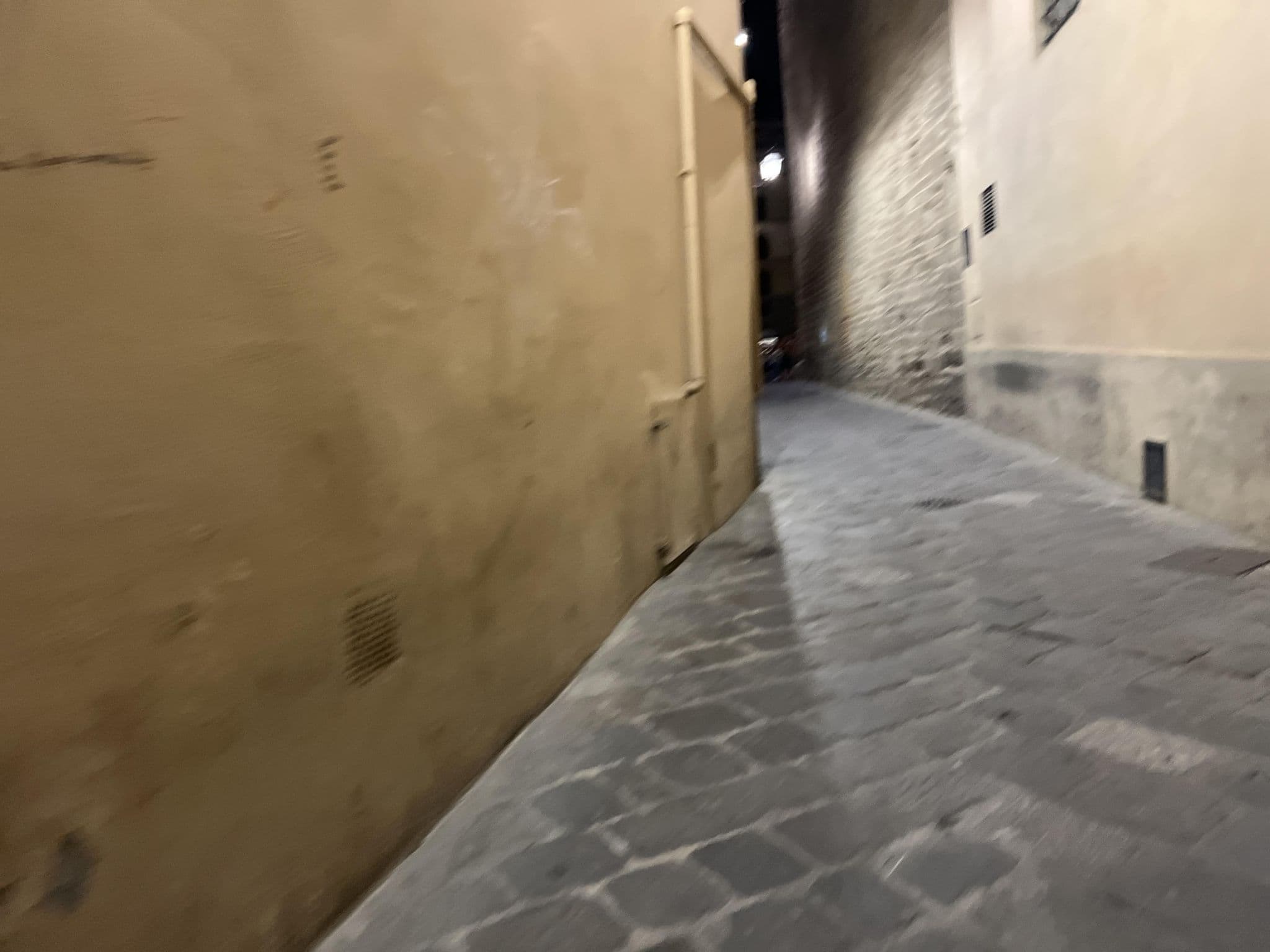 Street view near Relais Piazza Signoria Apartment Florence, Florence — © shogohirasawa (CC BY-SA · Mapillary)