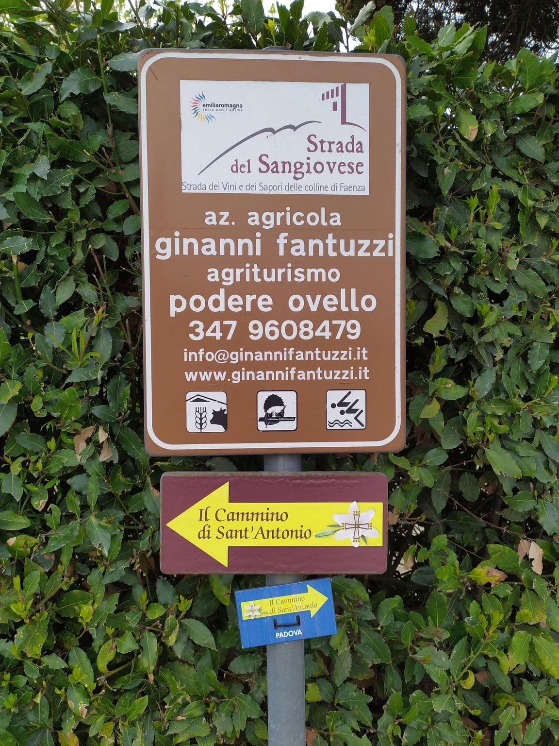 Street view near Agriturismo Podere Ovello - Casa Tamerice, Brisighella — © mircozorzo (CC BY-SA · Mapillary)