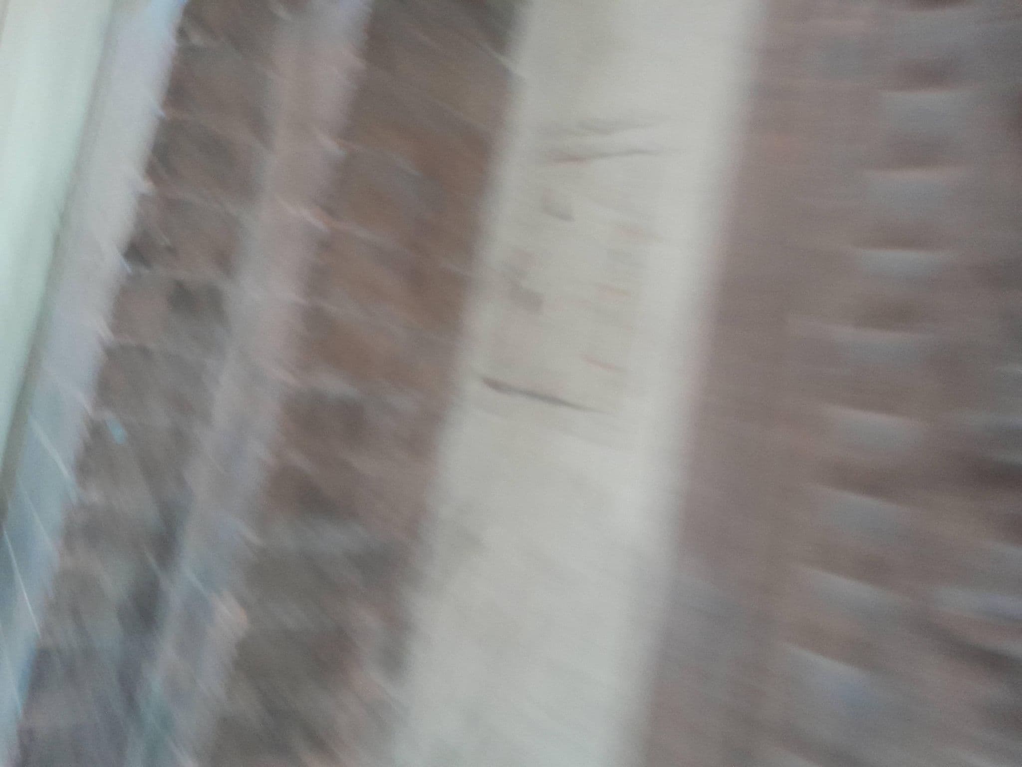 Street view near B&B Beatrice, Bologna — © omfg_notpr (CC BY-SA · Mapillary)