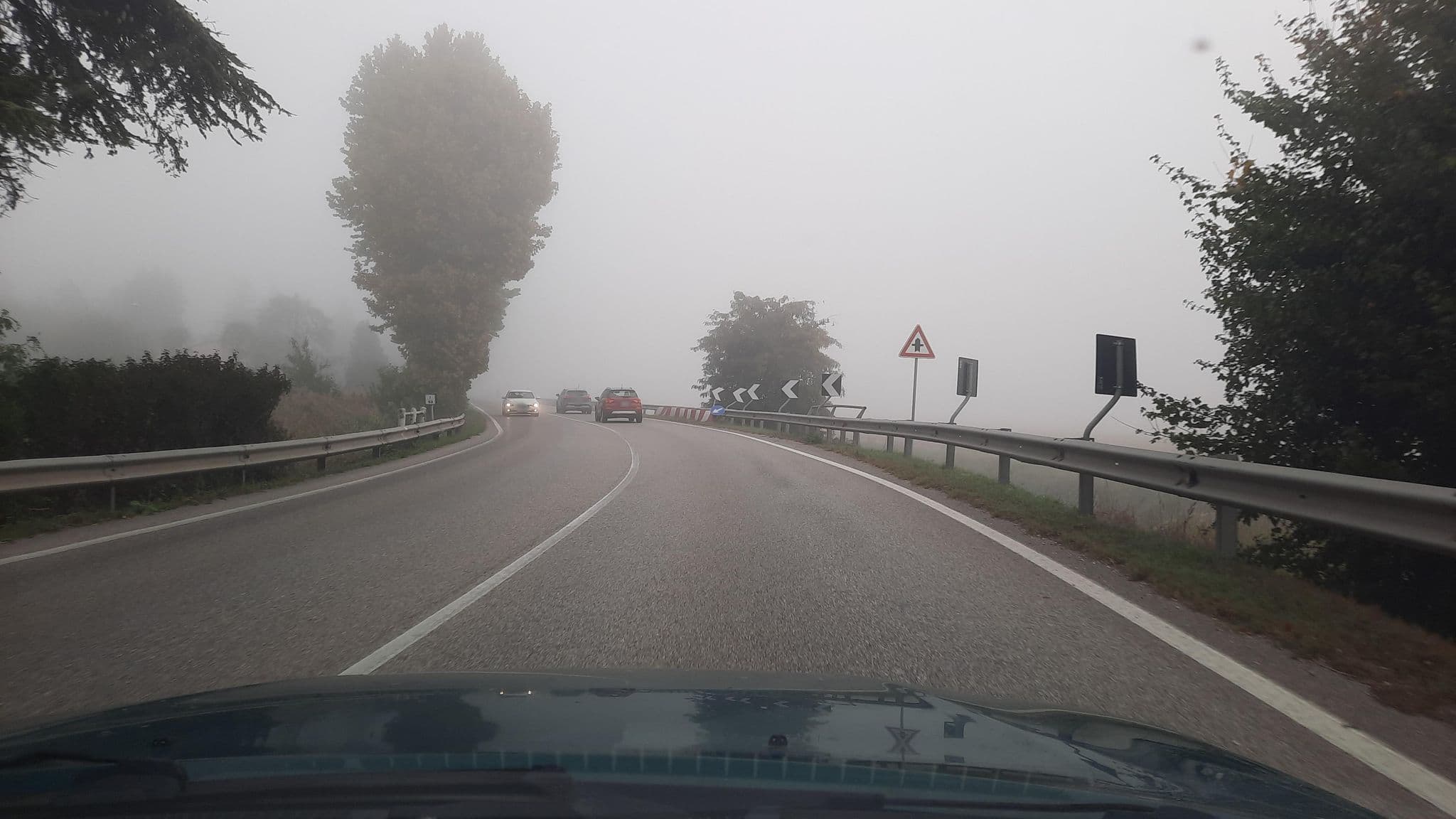 Street view near Buzzolani Mario e Polastri Maria Rosa, Polesella — © wegavision (CC BY-SA · Mapillary)