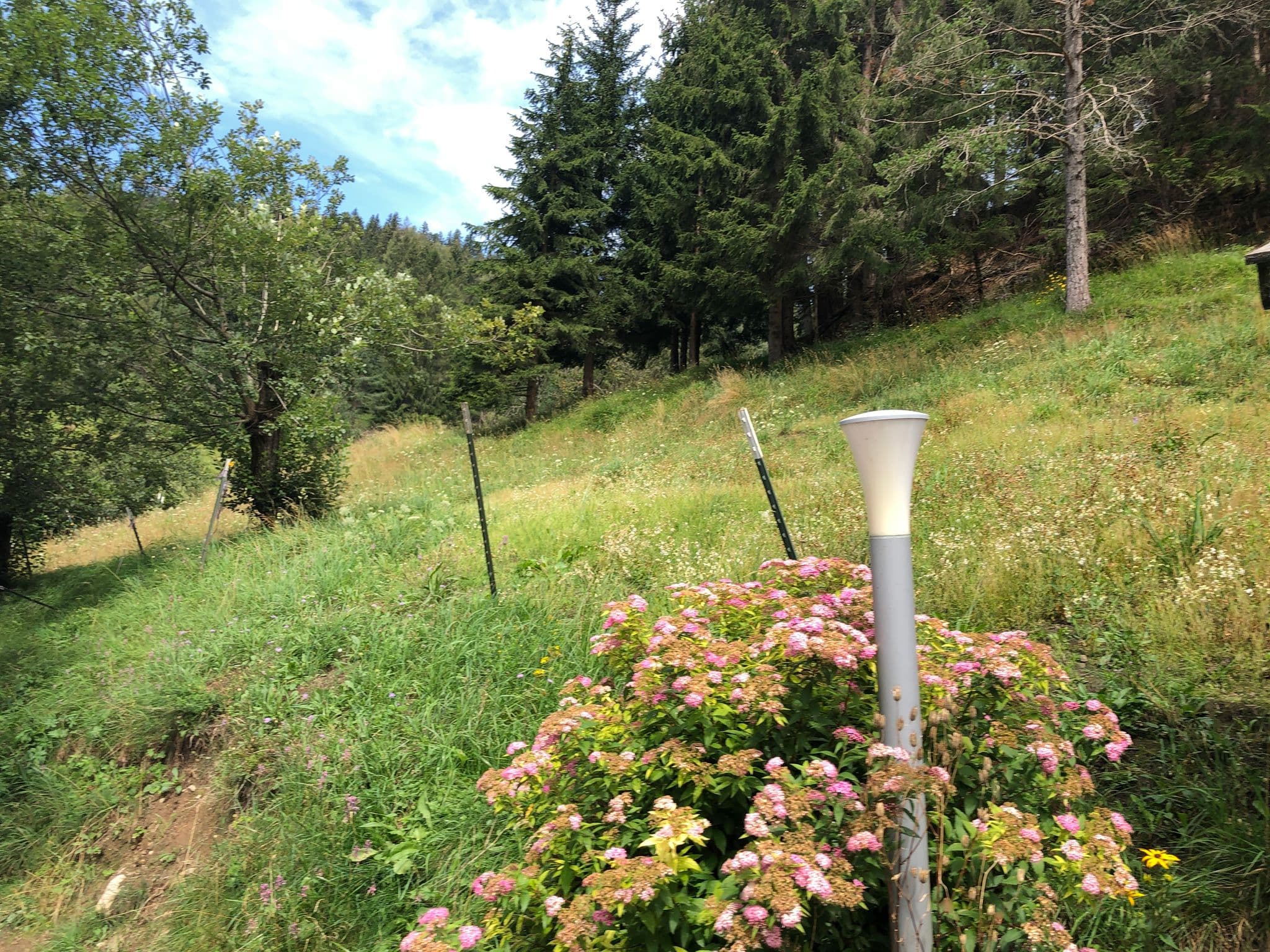 Street view near Pension Maier, Söll — © beautifulplaces (CC BY-SA · Mapillary)