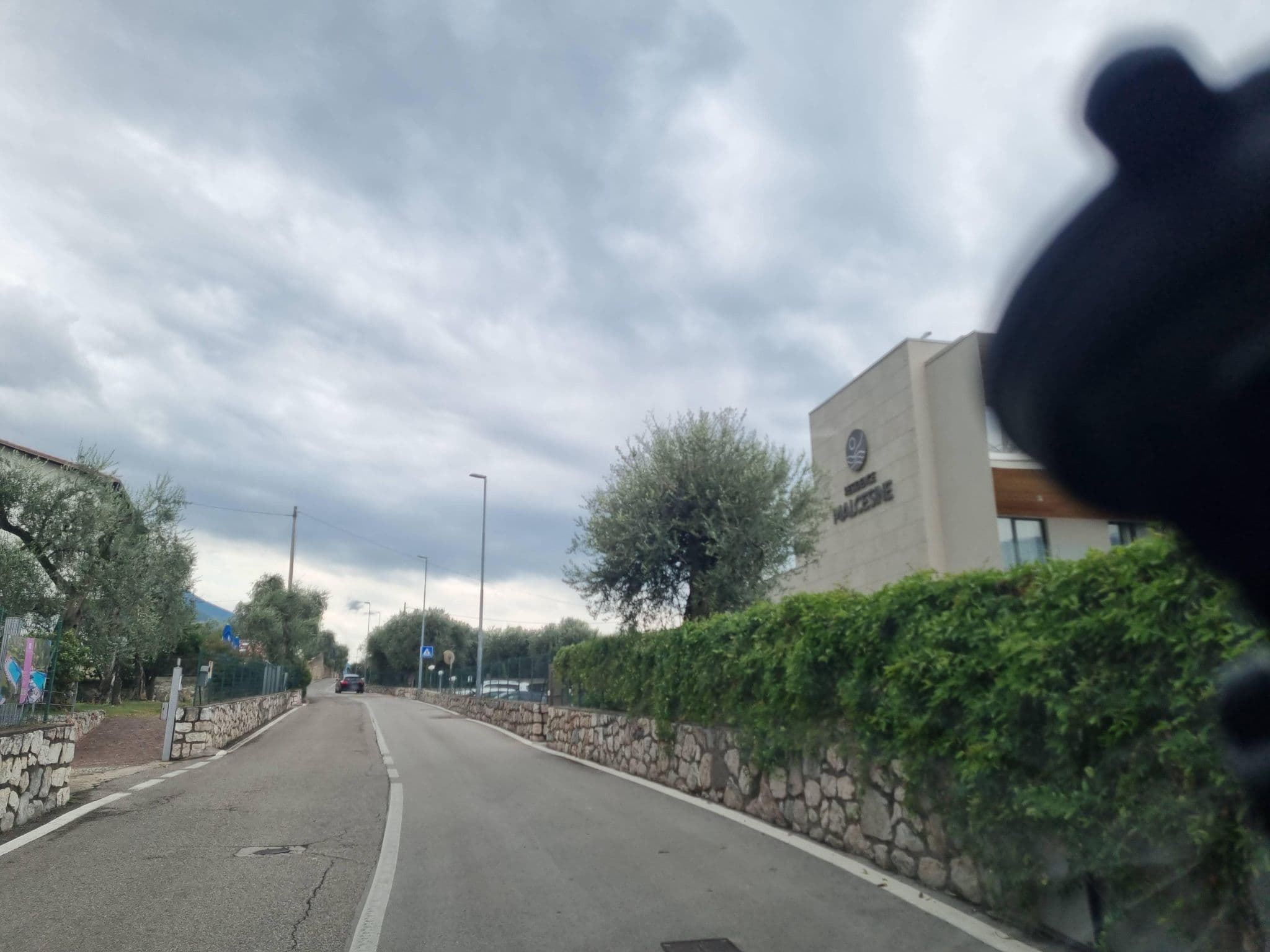 Street view near Hotel Garni Orchidea, Malcesine — © dsmm (CC BY-SA · Mapillary)