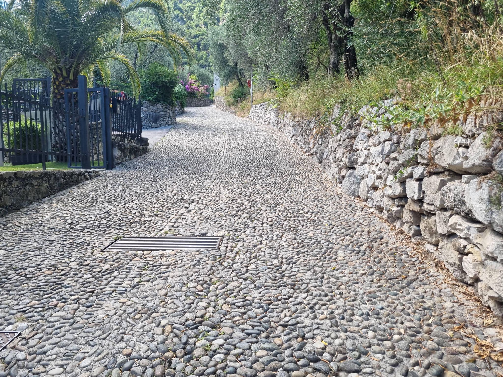 Street view near Evo Suites, Limone sul Garda — © dsmm (CC BY-SA · Mapillary)