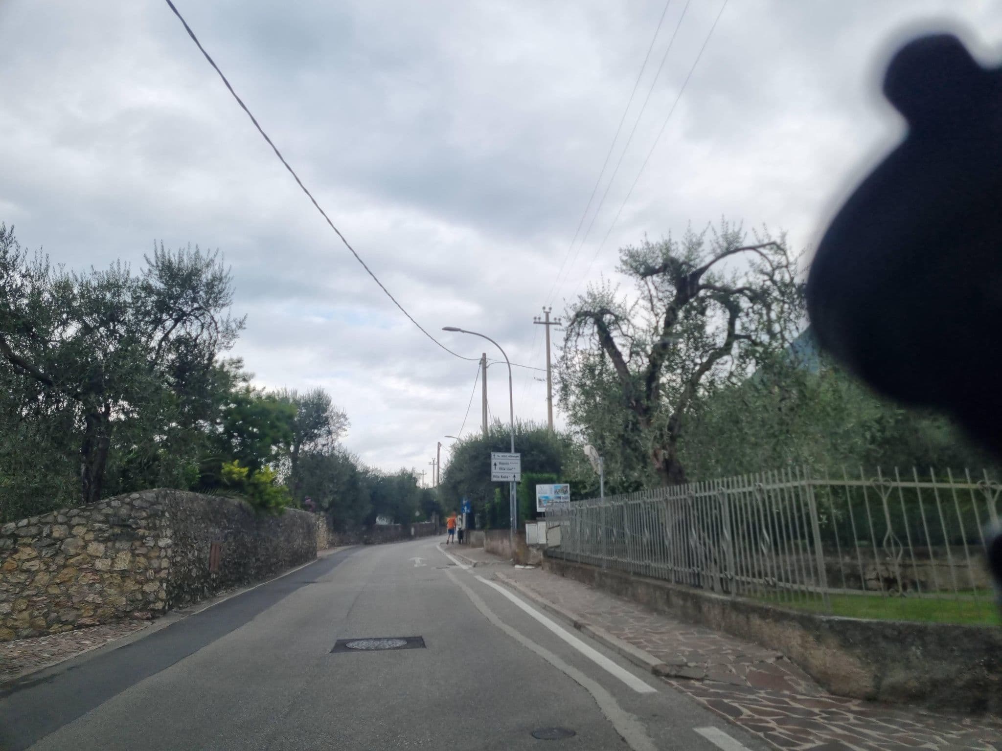 Street view near Villa Carera, Malcesine — © dsmm (CC BY-SA · Mapillary)
