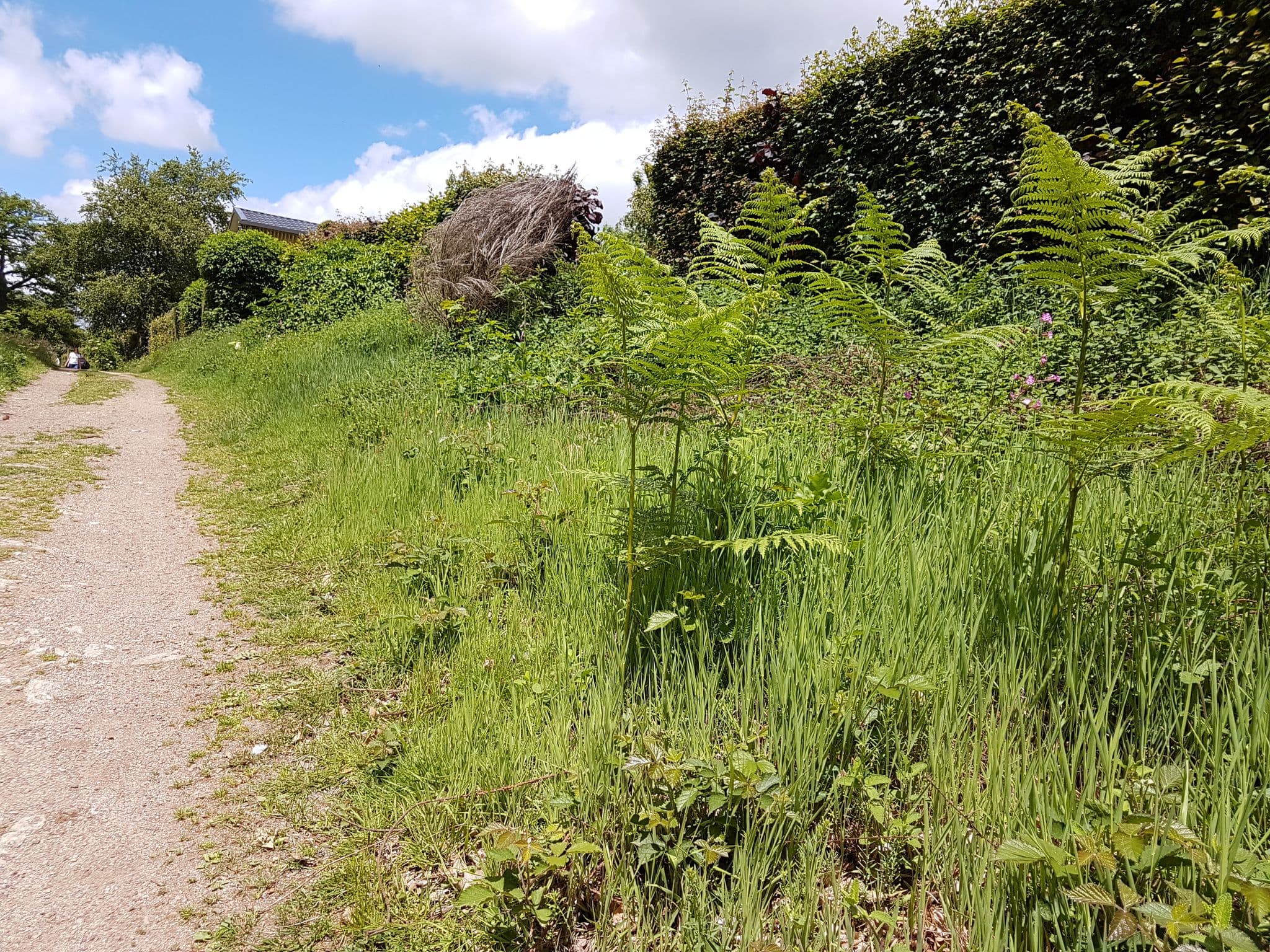 Street view near 18, Saulieu — © mapfool (CC BY-SA · Mapillary)