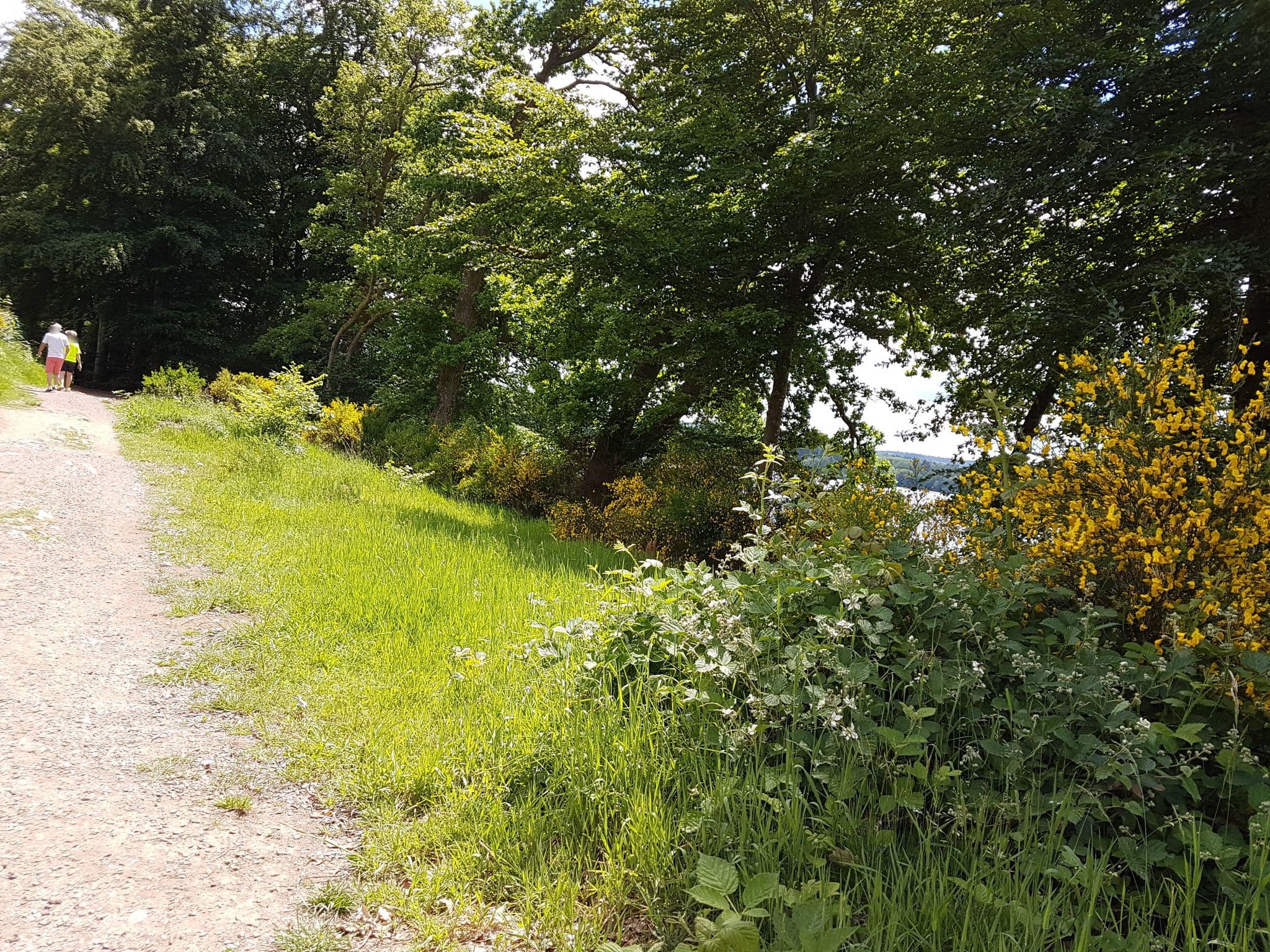 Street view near 11, Saulieu — © mapfool (CC BY-SA · Mapillary)