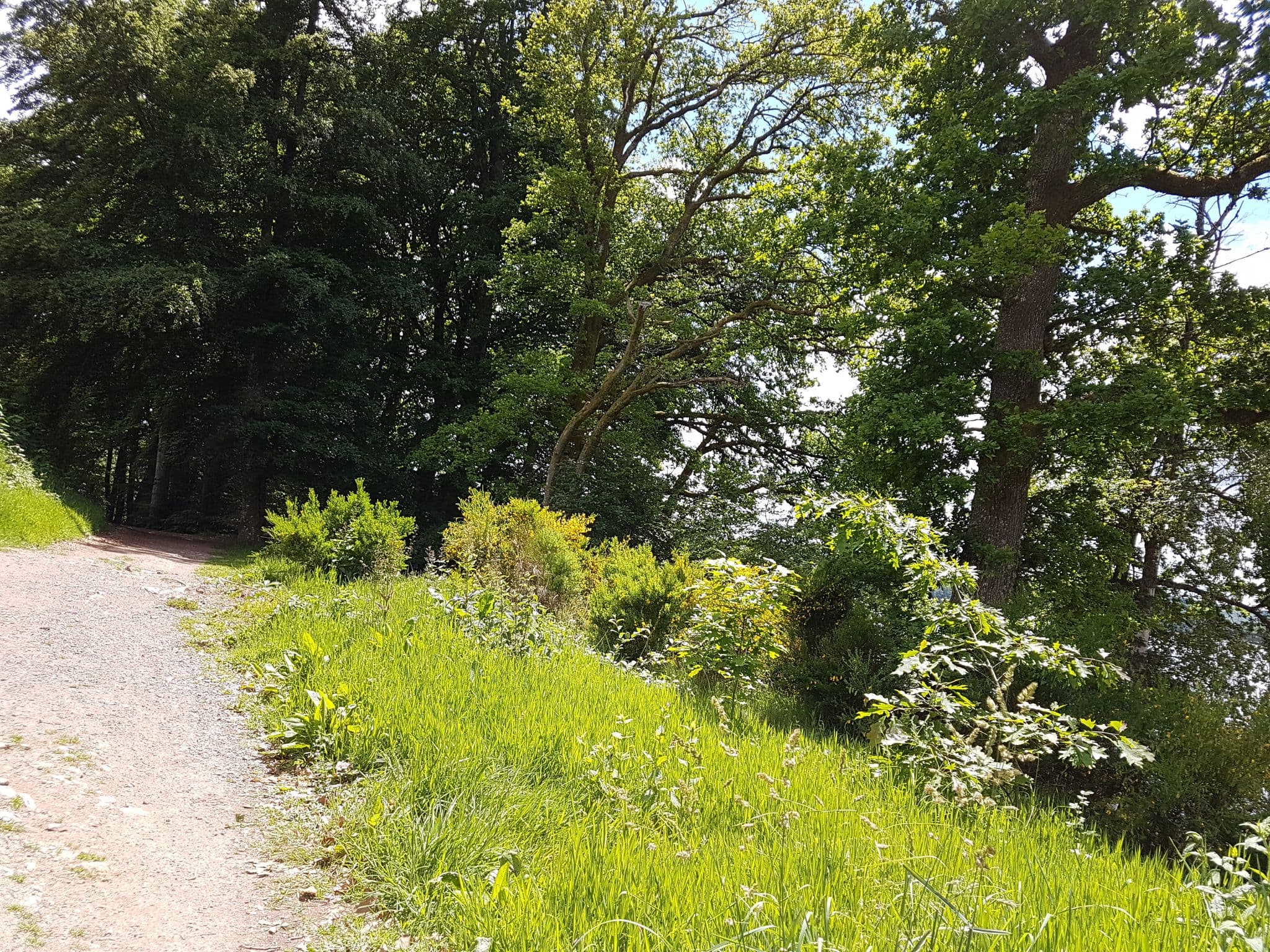 Street view near 19, Saulieu — © mapfool (CC BY-SA · Mapillary)
