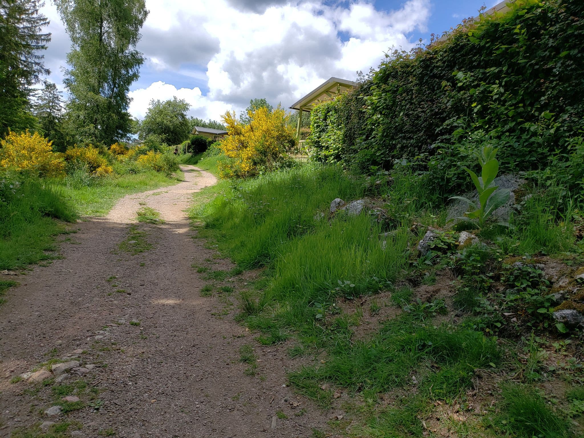 Street view near 2, Saulieu — © mapfool (CC BY-SA · Mapillary)