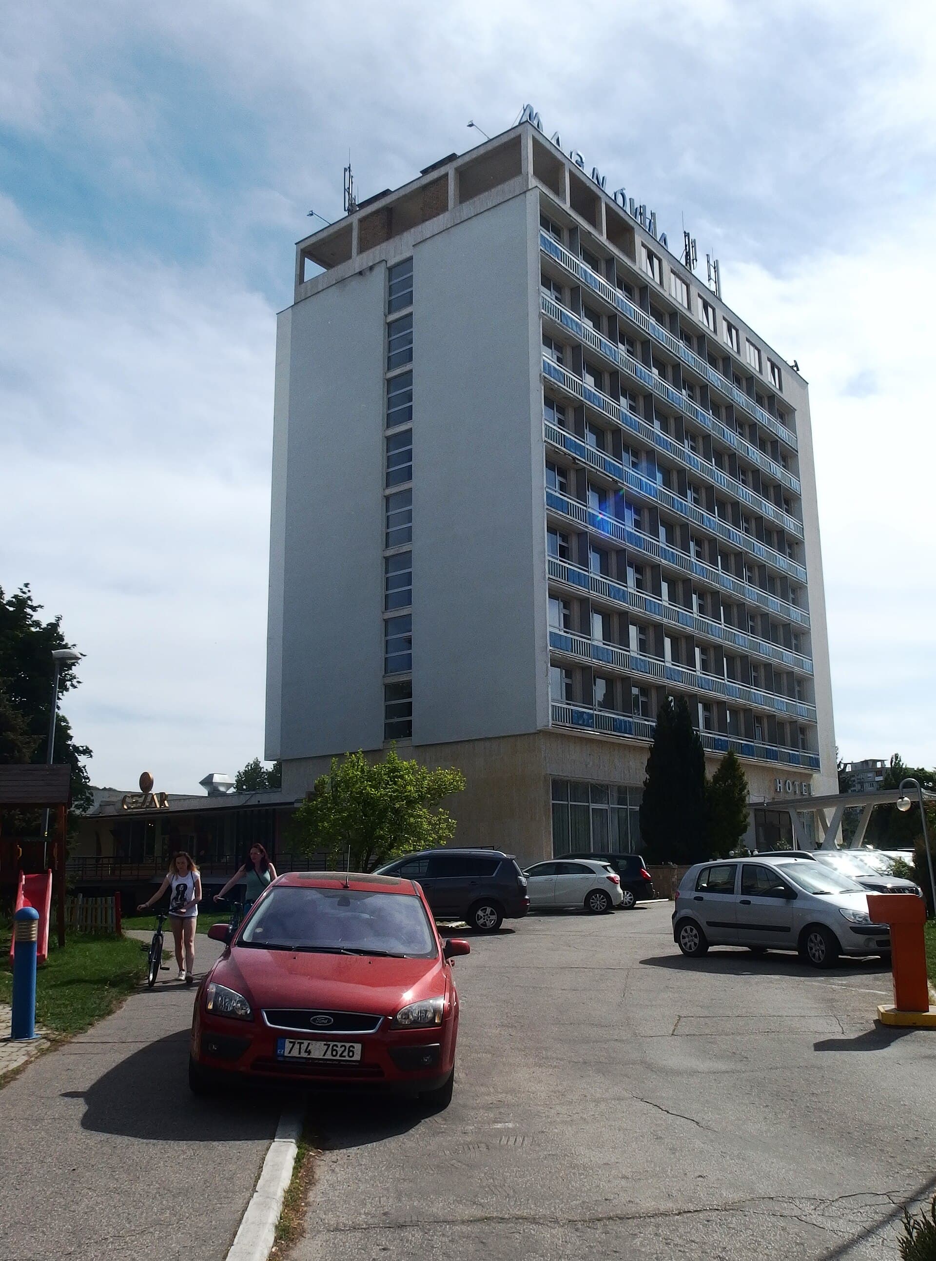 Magnólia (via Wikimedia Commons, CC BY-SA 4.0)