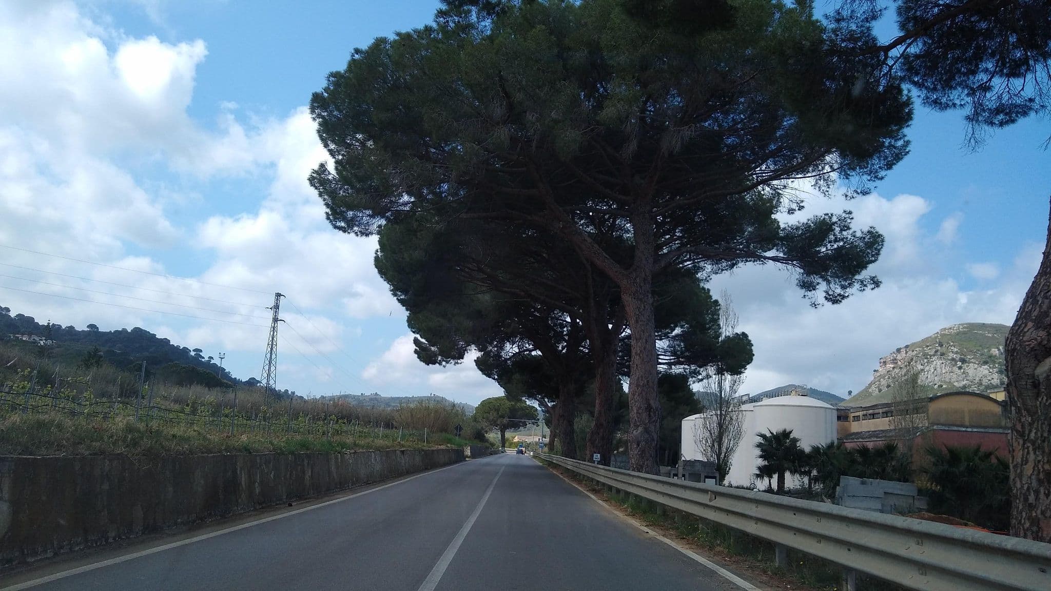 Street view near Segesta Antichi Sapori, Calatafimi — © thetornado76 (CC BY-SA · Mapillary)