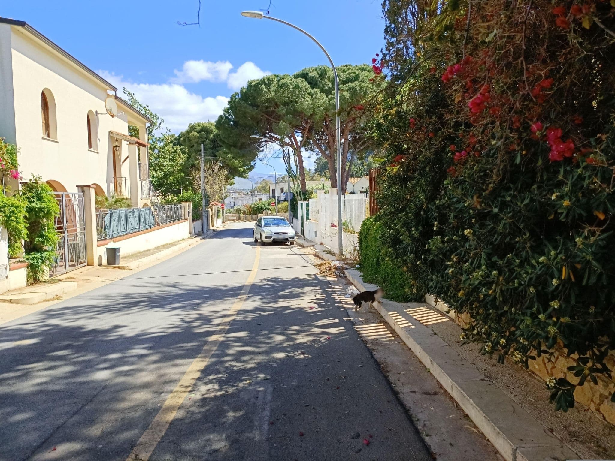 Street view near Villa Genna, San Vito Lo Capo — © ESTmapper1001 (CC BY-SA · Mapillary)