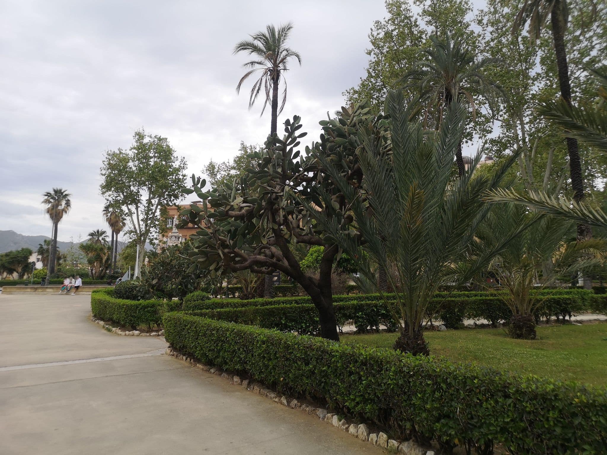 Street view near Palco Room Suites Otel, Palermo — © moon4 (CC BY-SA · Mapillary)