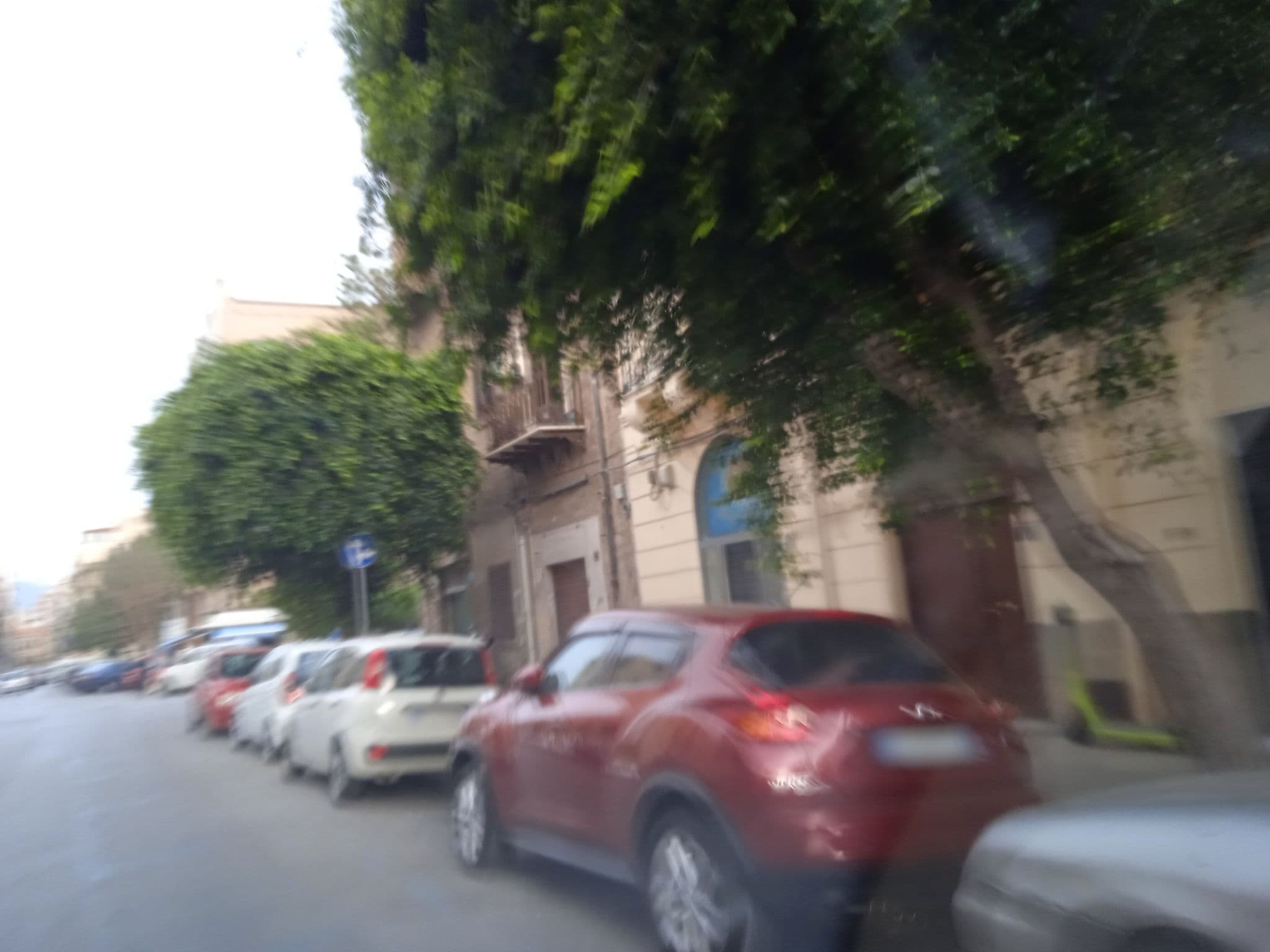 Street view near Casa Paloma Charme, Palermo — © p8fy9y9fs (CC BY-SA · Mapillary)