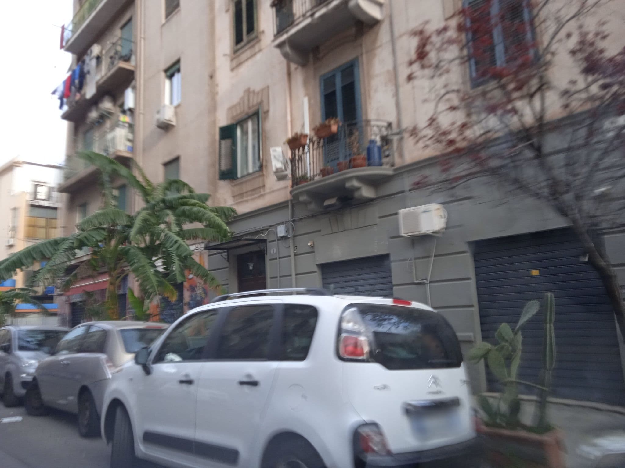 Street view near B&B Palermo House, Palermo — © p8fy9y9fs (CC BY-SA · Mapillary)