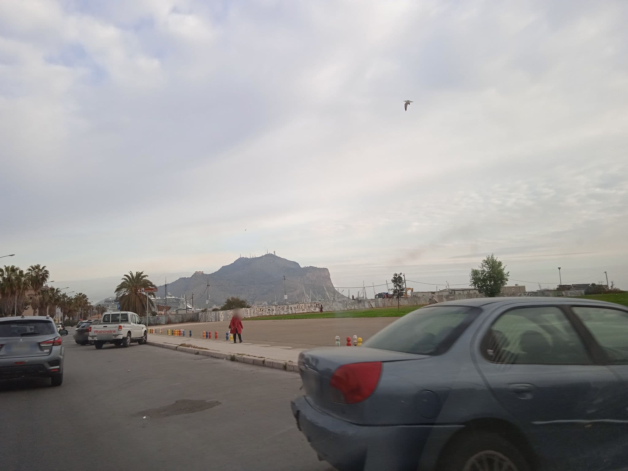 Street view near Alice's room with a view, Palermo — © p8fy9y9fs (CC BY-SA · Mapillary)