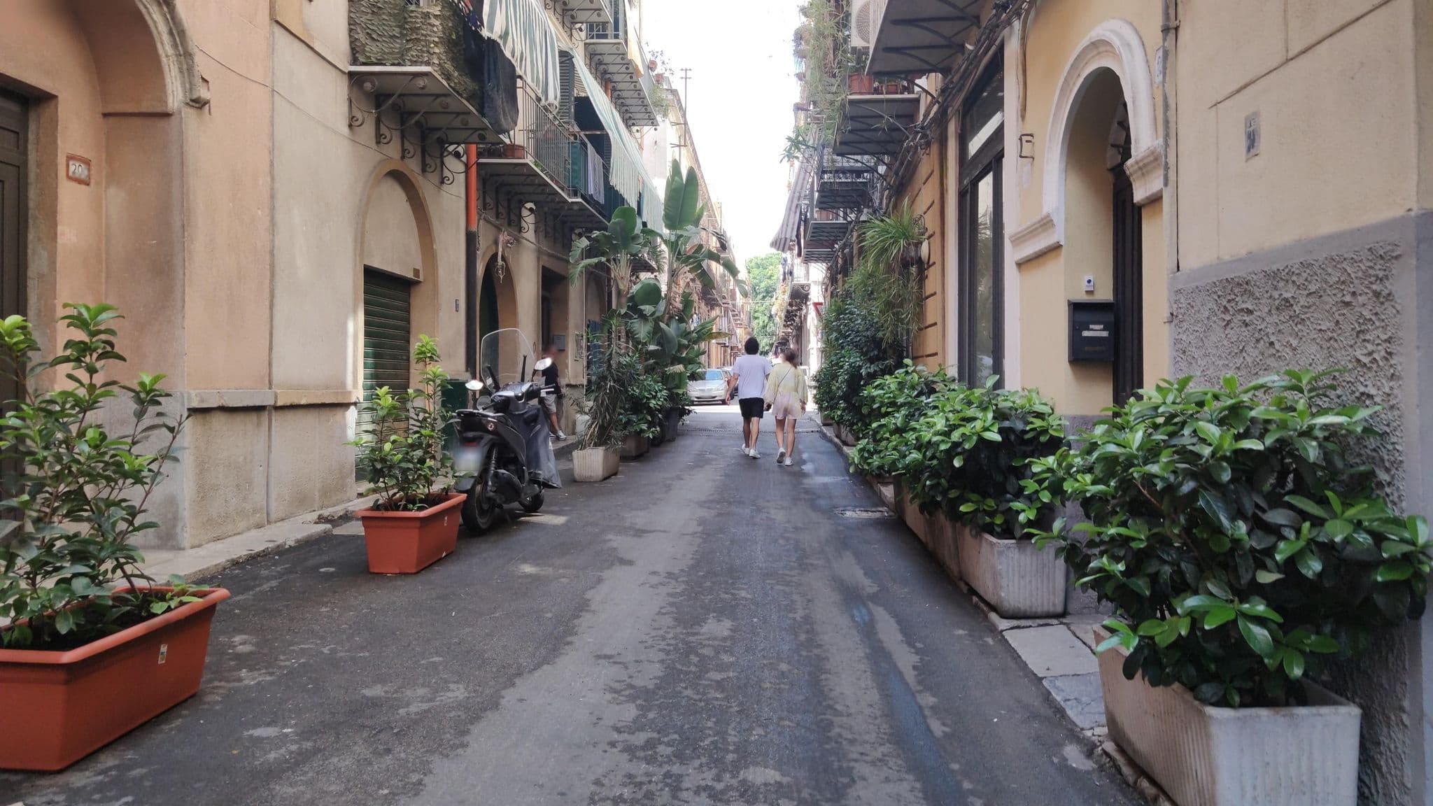 Street view near B&B Porta Di Castro, Palermo — © mrey (CC BY-SA · Mapillary)