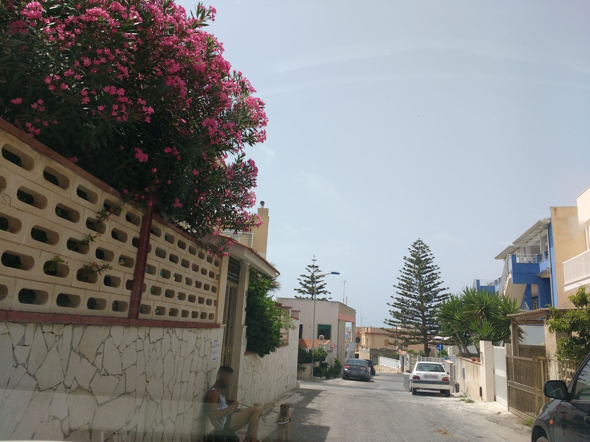 Street view near Case Vacanza Vanasia, Cava d'Aliga — © thetornado76 (CC BY-SA · Mapillary)