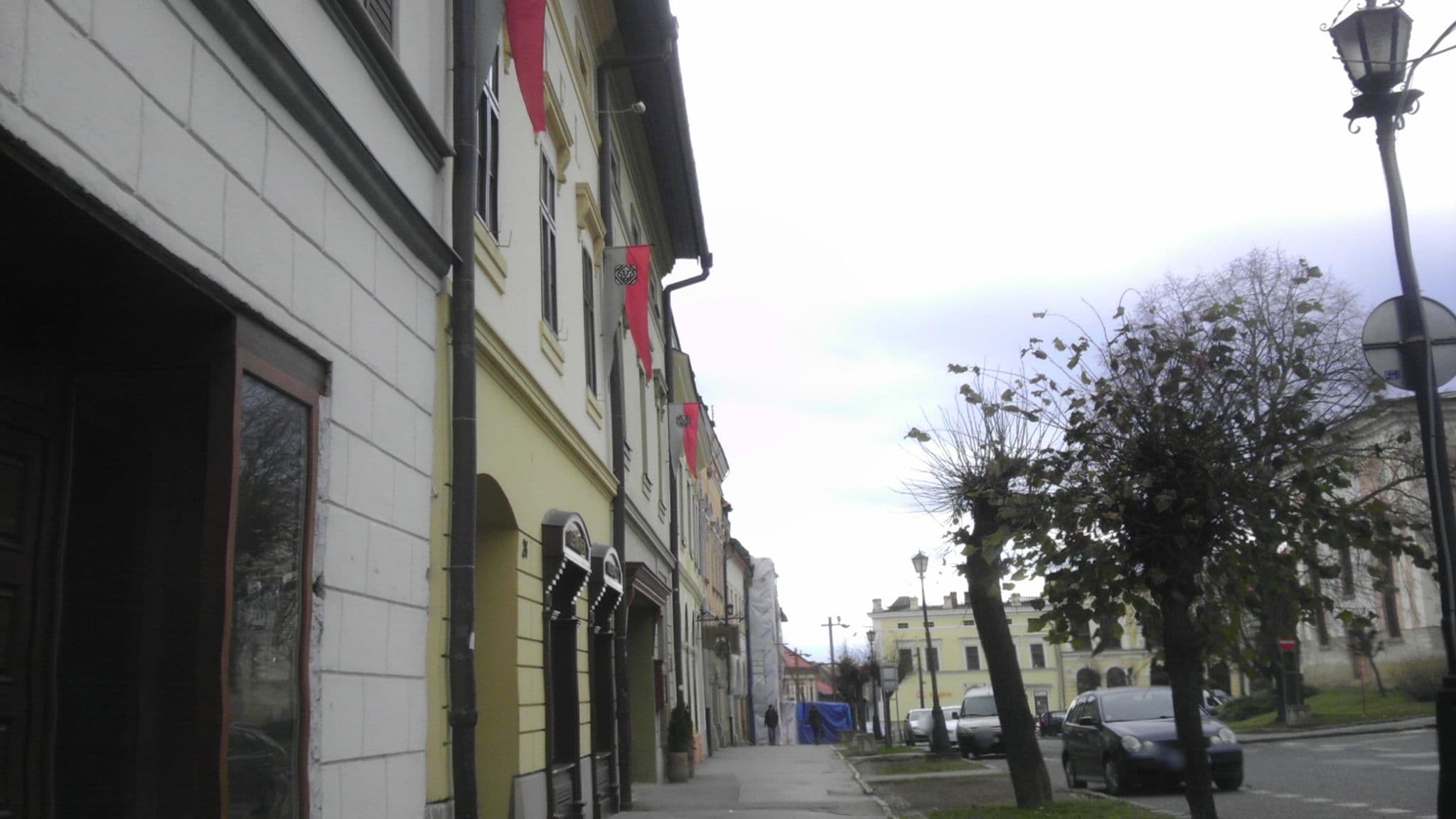 Street view near Hotel Arkáda, Levoča — © michalp (CC BY-SA · Mapillary)