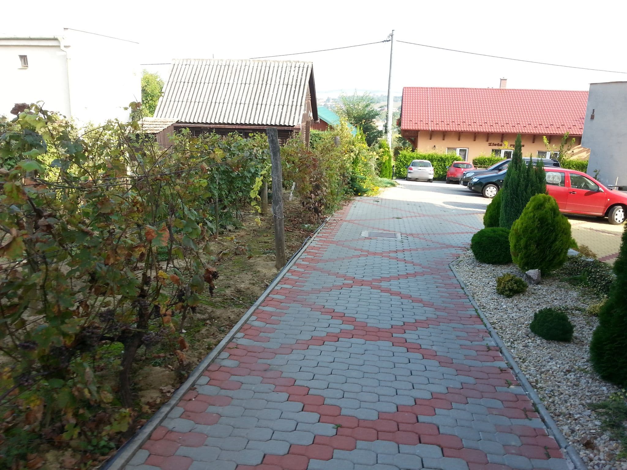 Street view near Penzión Quatro IV, Komárno — © jose1711 (CC BY-SA · Mapillary)