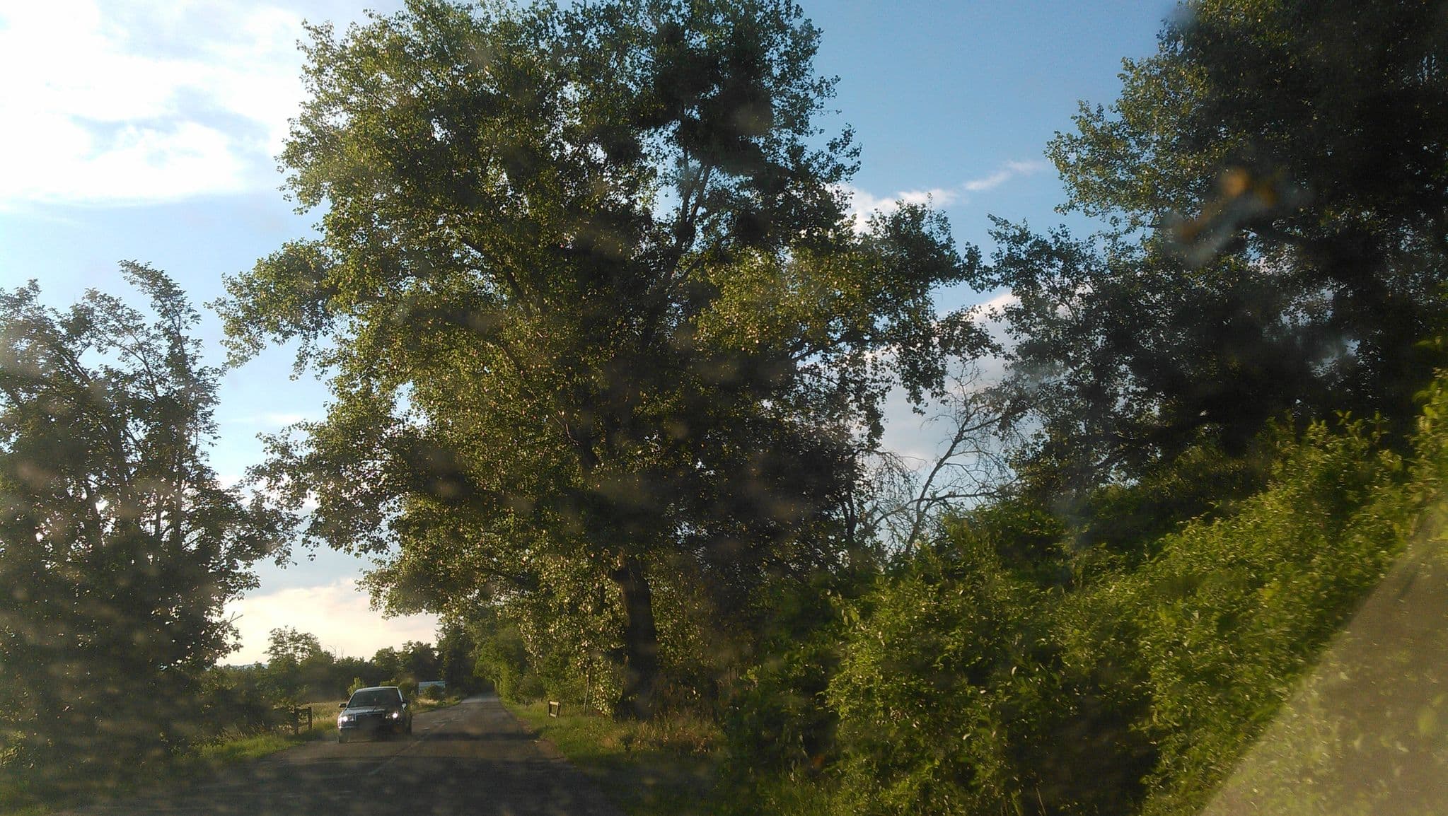 Street view near Táborisko Dronte, Malinovo — © michalp (CC BY-SA · Mapillary)