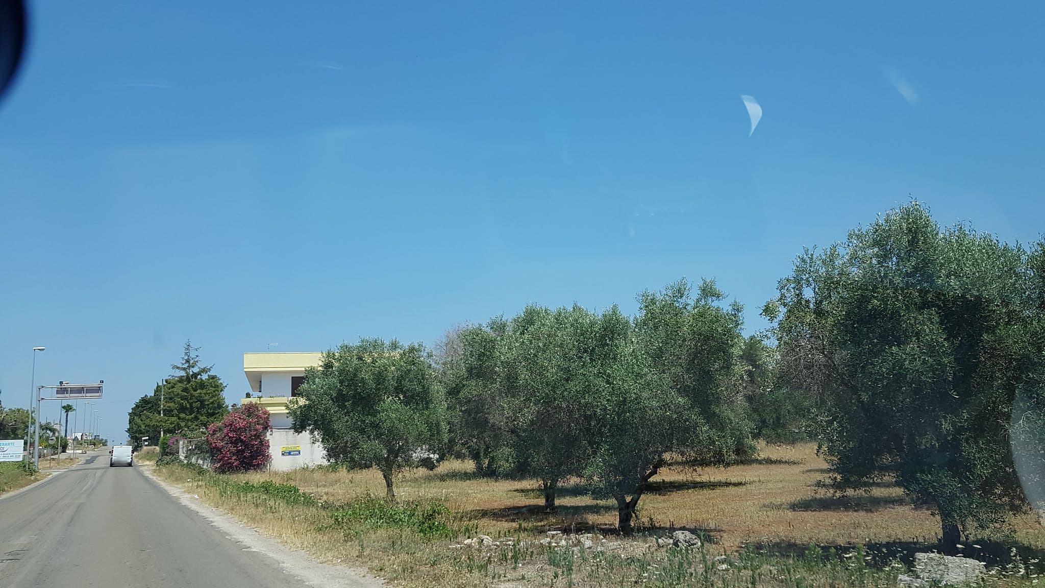 Street view near Edera SRL, Porto Cesareo — © ale_zena_it (CC BY-SA · Mapillary)