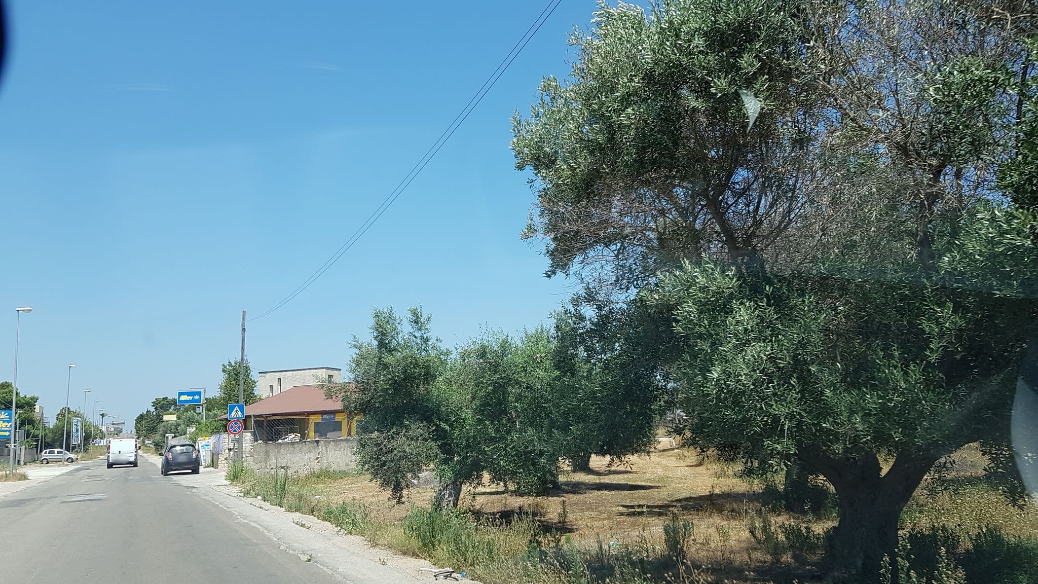 Street view near Villetta Alice, Porto Cesareo — © ale_zena_it (CC BY-SA · Mapillary)