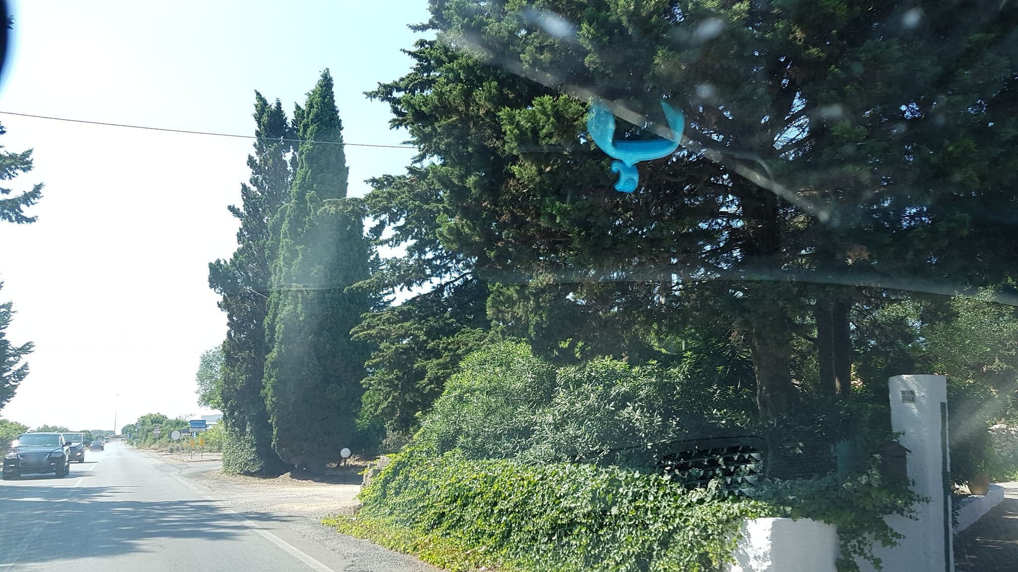 Street view near Villa Elisa, Porto Cesareo — © ale_zena_it (CC BY-SA · Mapillary)