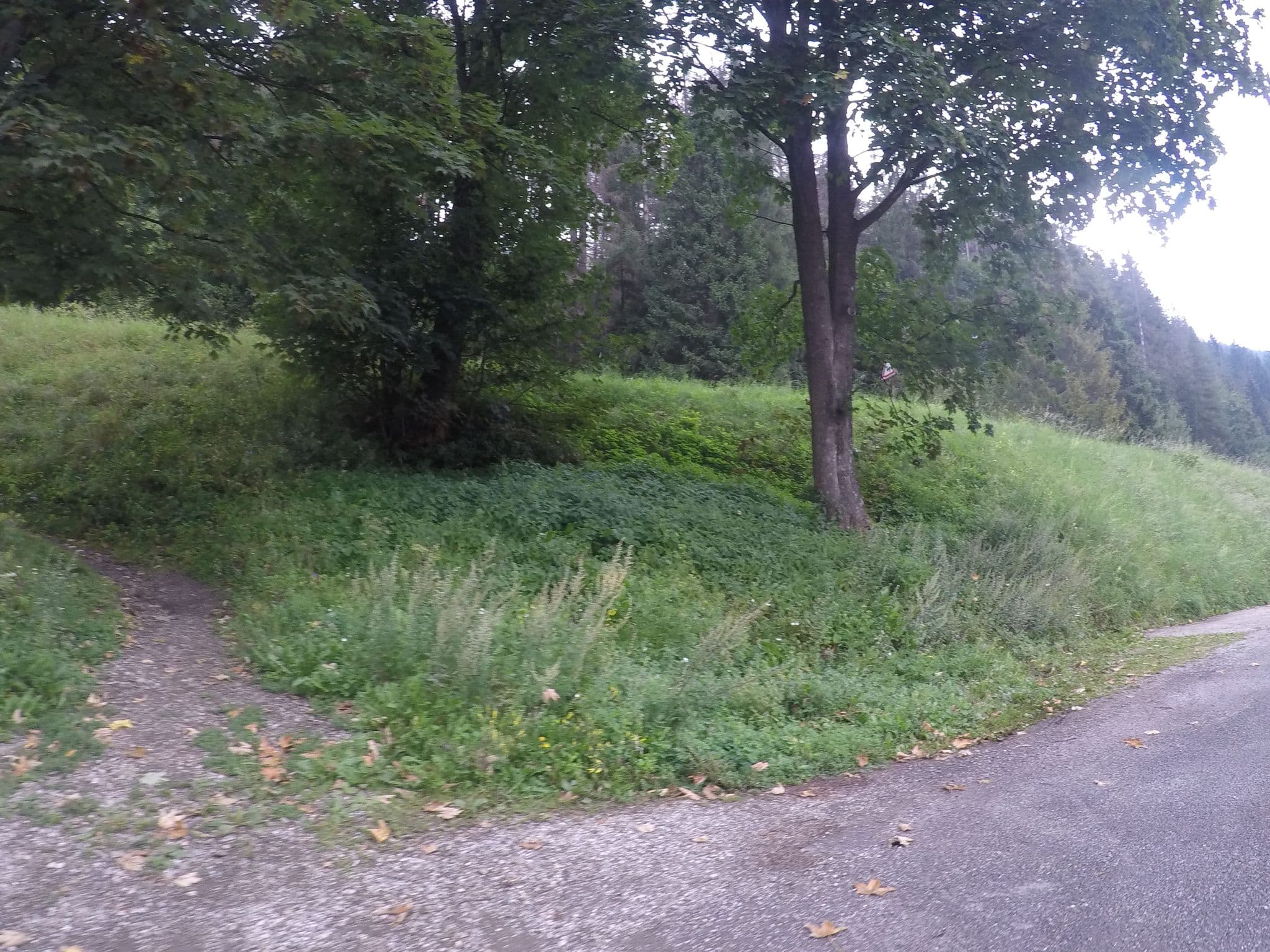 Street view near Salamander, Dobšiná — © chrisbeddow (CC BY-SA · Mapillary)