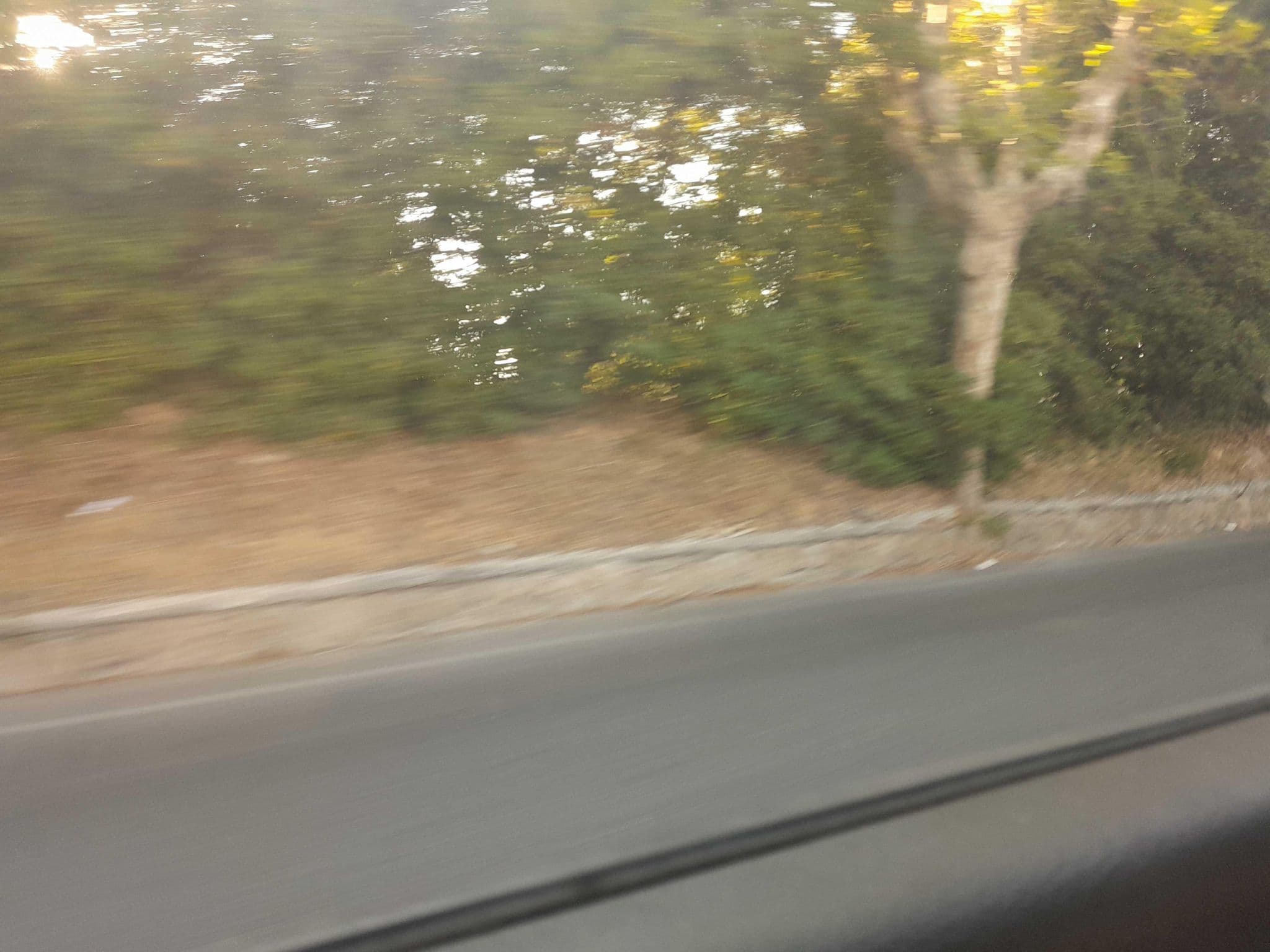 Street view near Piscina Comunale di Anzio, Anzio — © omfg_notpr (CC BY-SA · Mapillary)