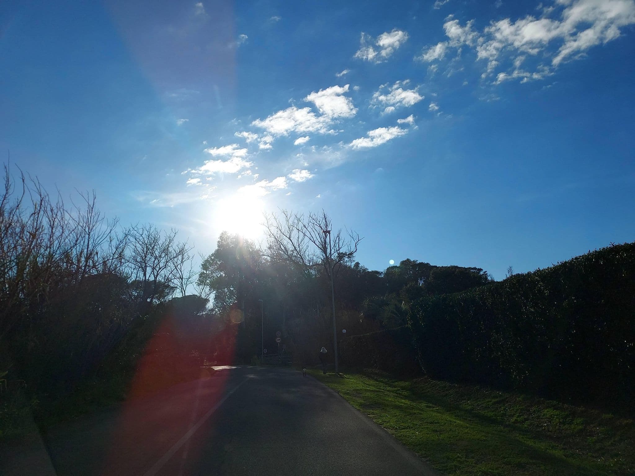 Street view near A.L.M.A.S.E.R. SRL, Sabaudia — © odiug (CC BY-SA · Mapillary)