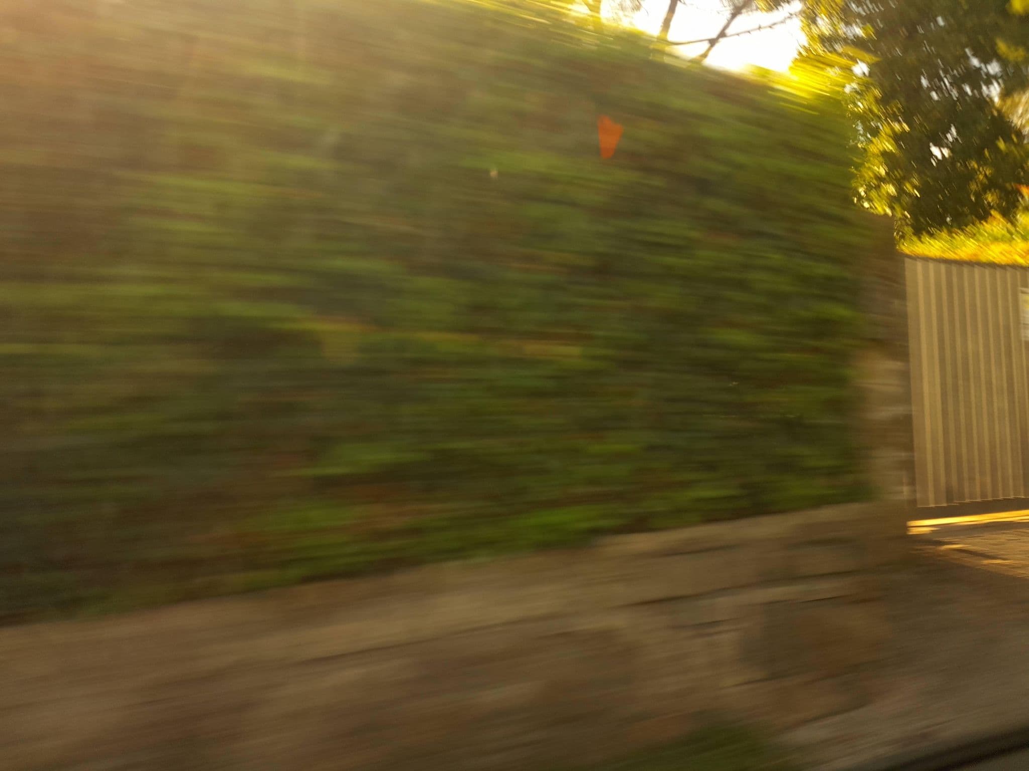 Street view near Villa Artemis, Nemi — © omfg_notpr (CC BY-SA · Mapillary)