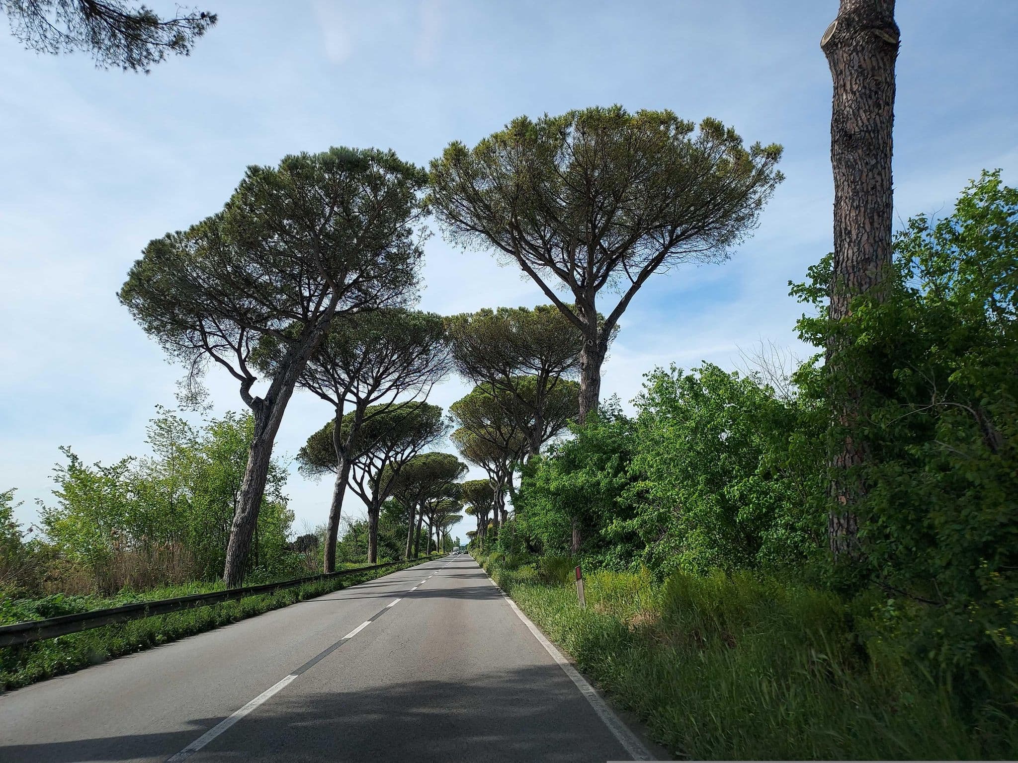 Street view near Cucinarium Ristorante Foro Appio Mansio Hotel, Pontinia — © odiug (CC BY-SA · Mapillary)