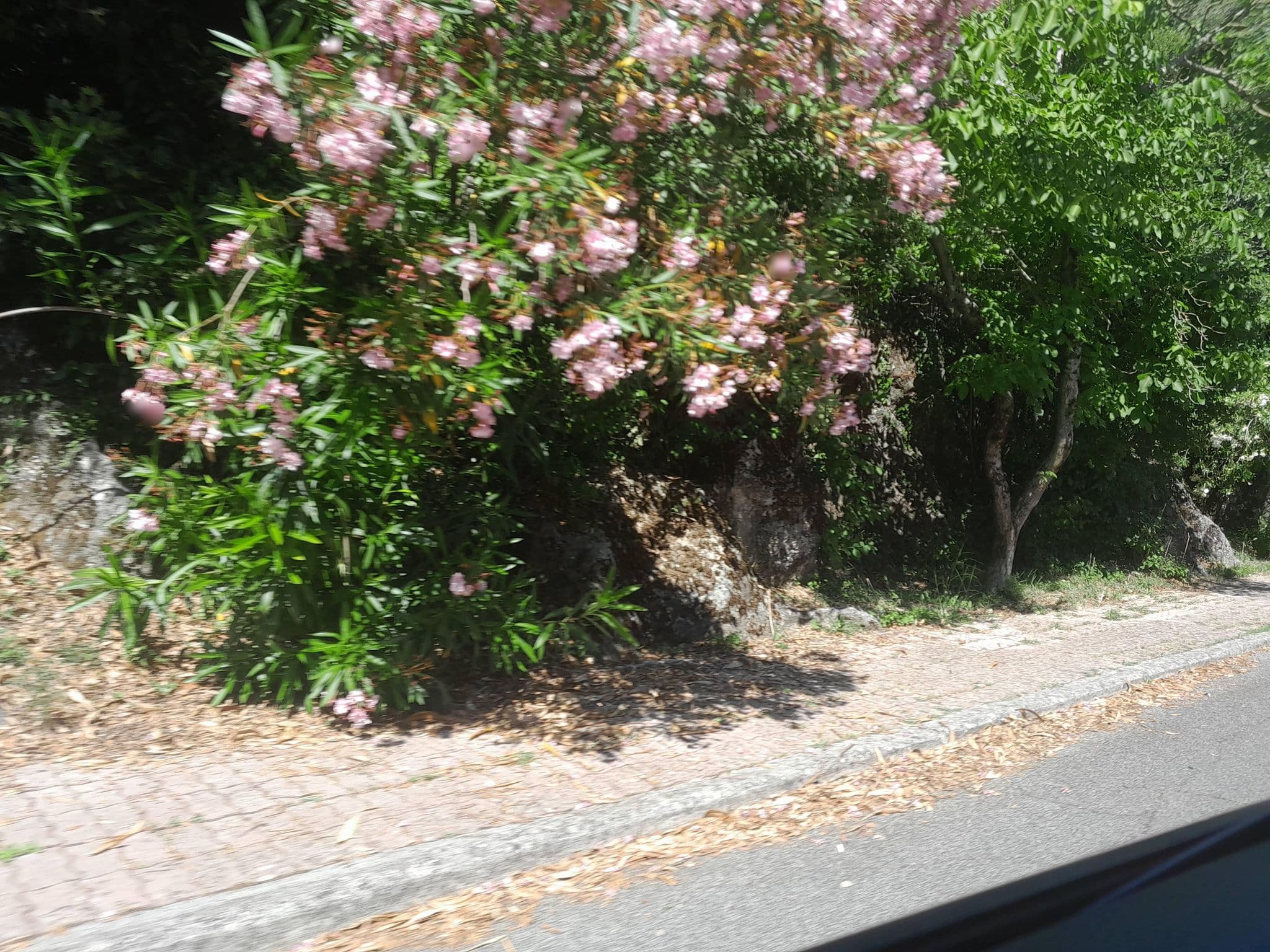 Street view near Casa Marsilia, Sermoneta — © omfg_notpr (CC BY-SA · Mapillary)